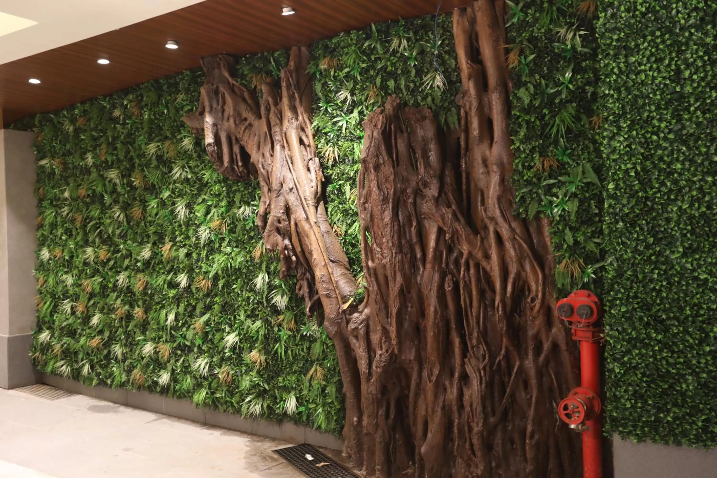 Facade/entrance in Hotel Cliffton