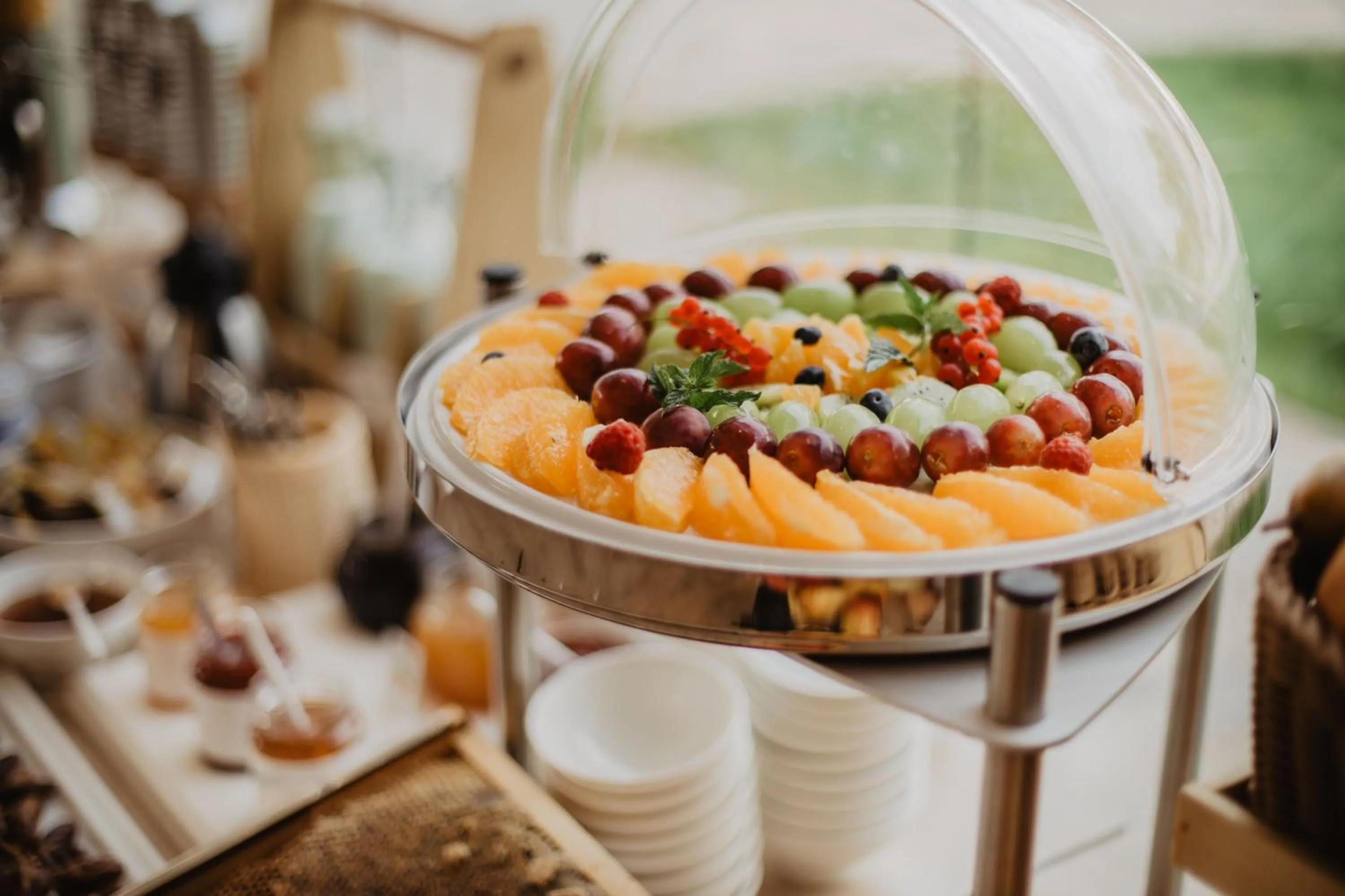 Restaurant/places to eat in Hotel Villa Radin