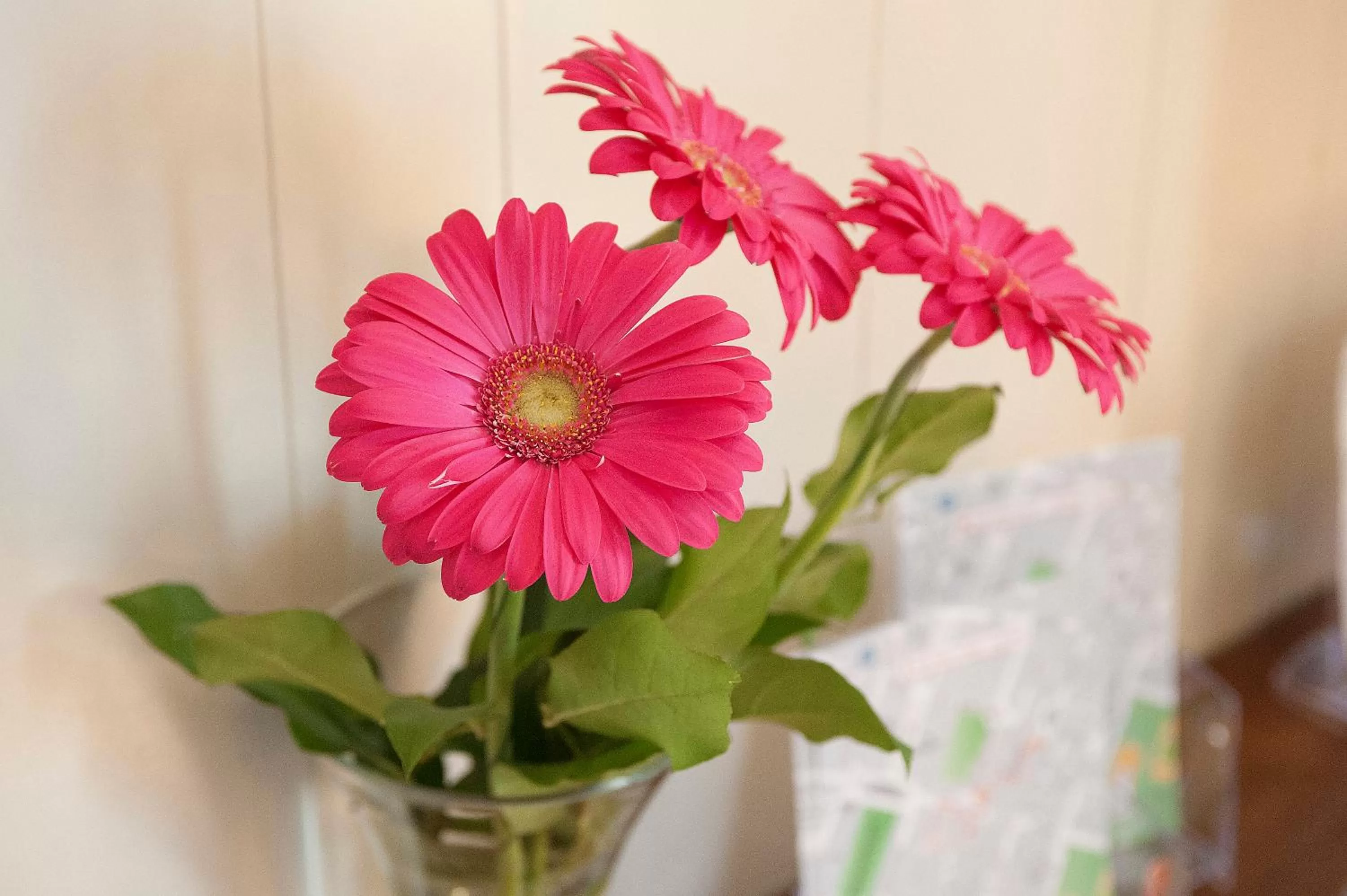Decorative detail in Hotel Gardenia