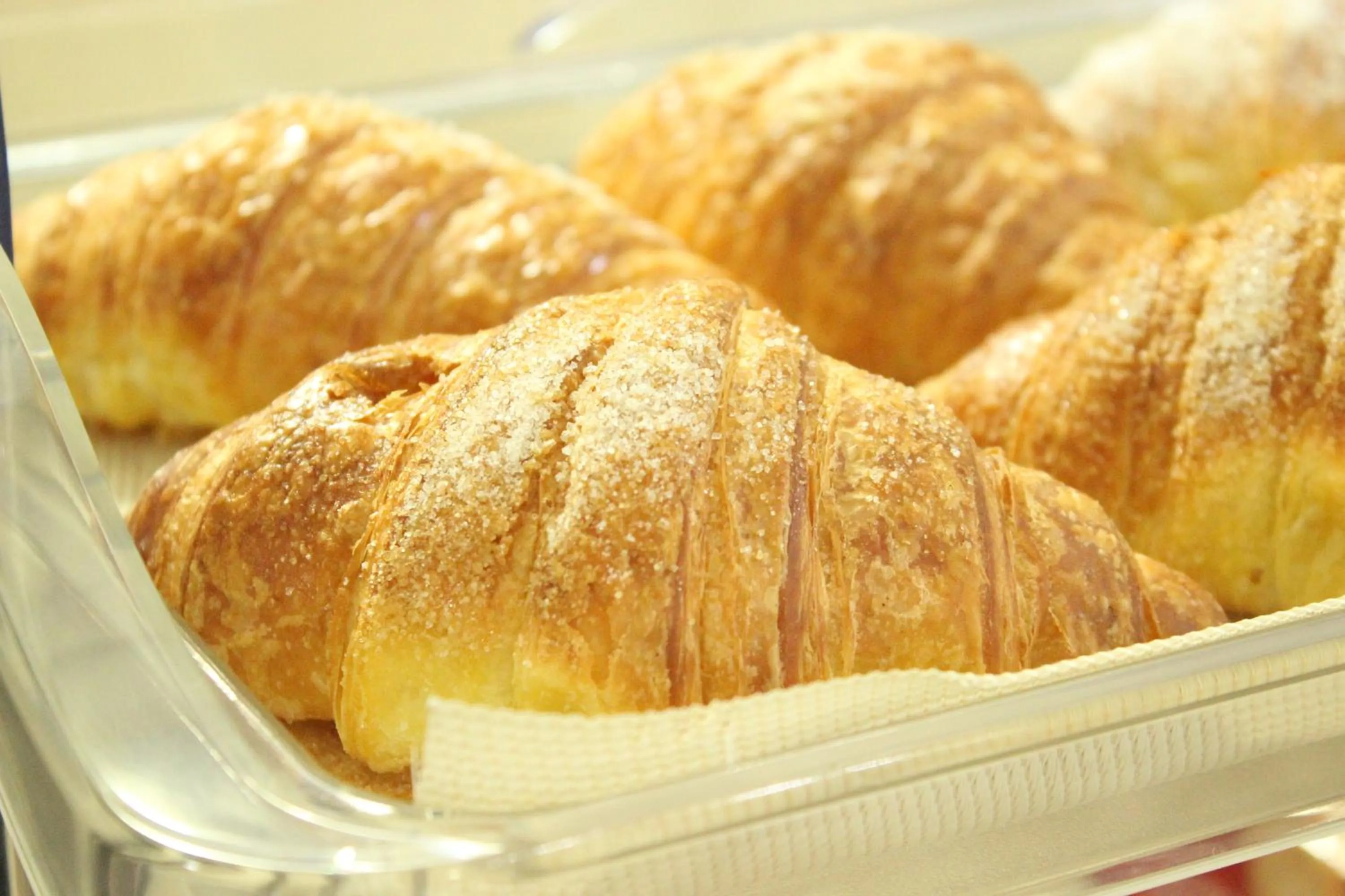 Food and drinks in Hotel Europa