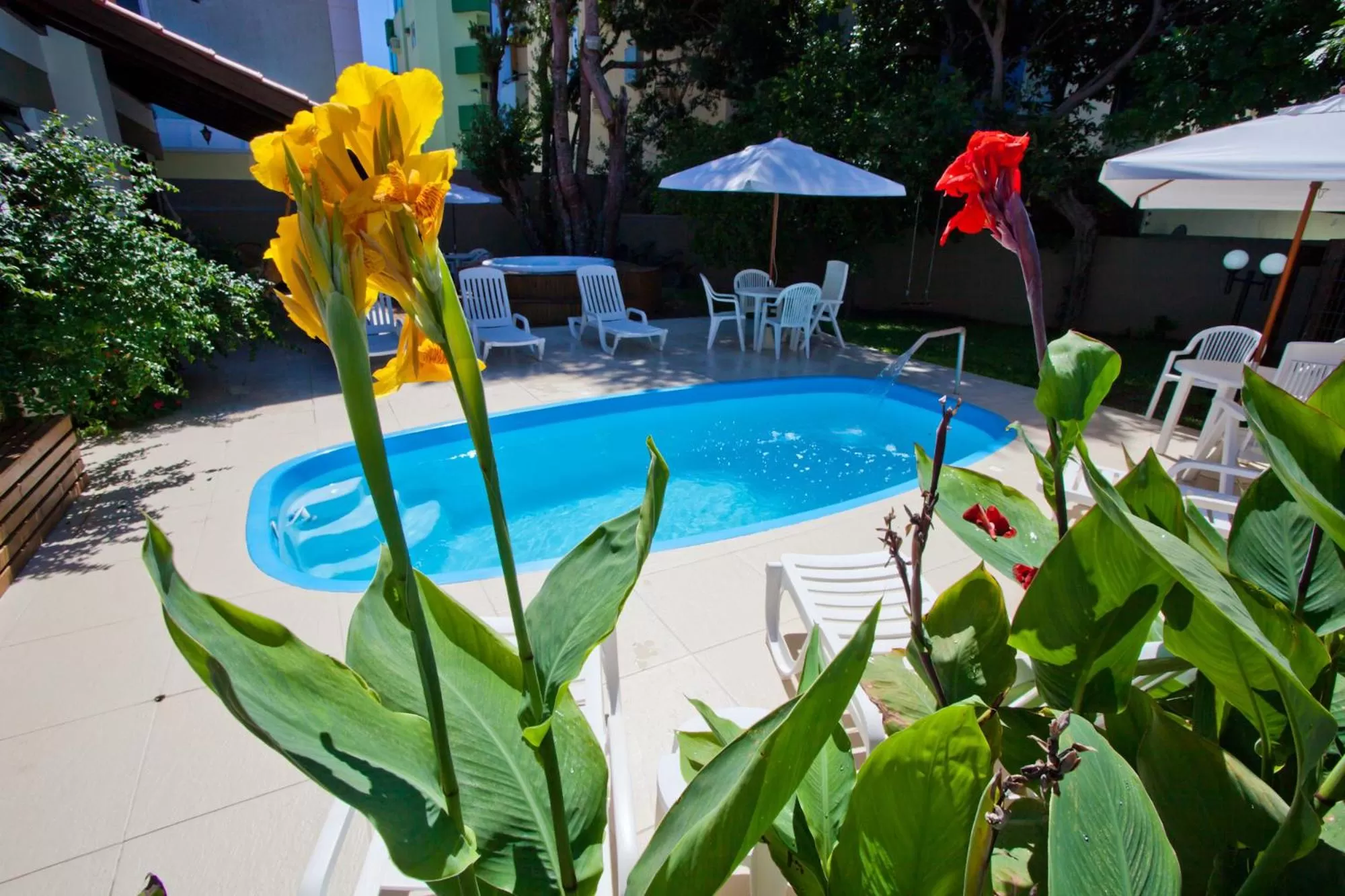 Pool view in Beach House Floripa