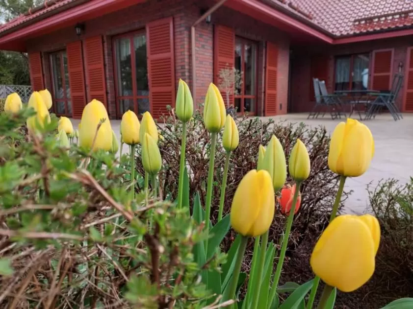 Spring in Port Jeziorak