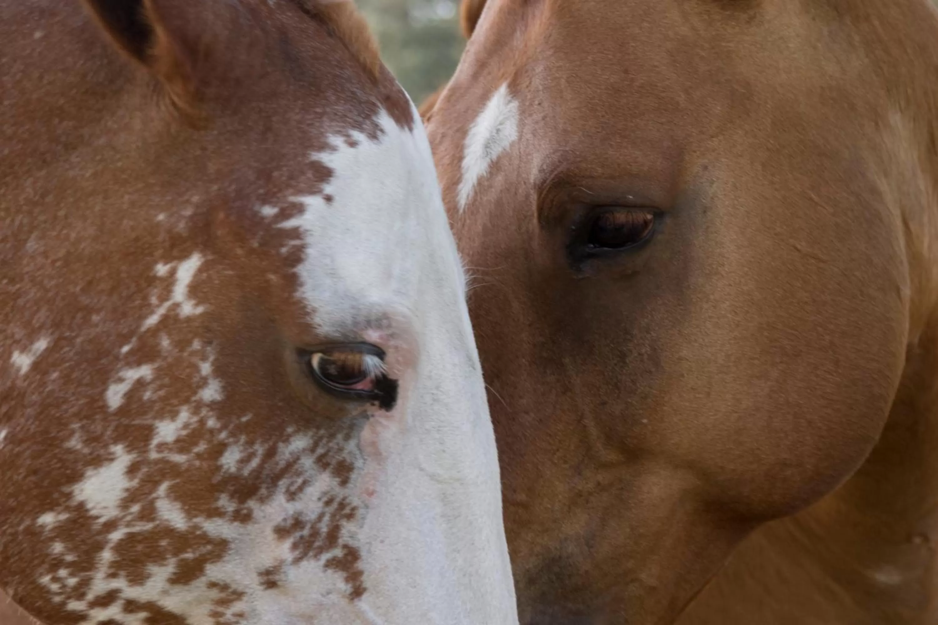 Activities in Estancia Ave María