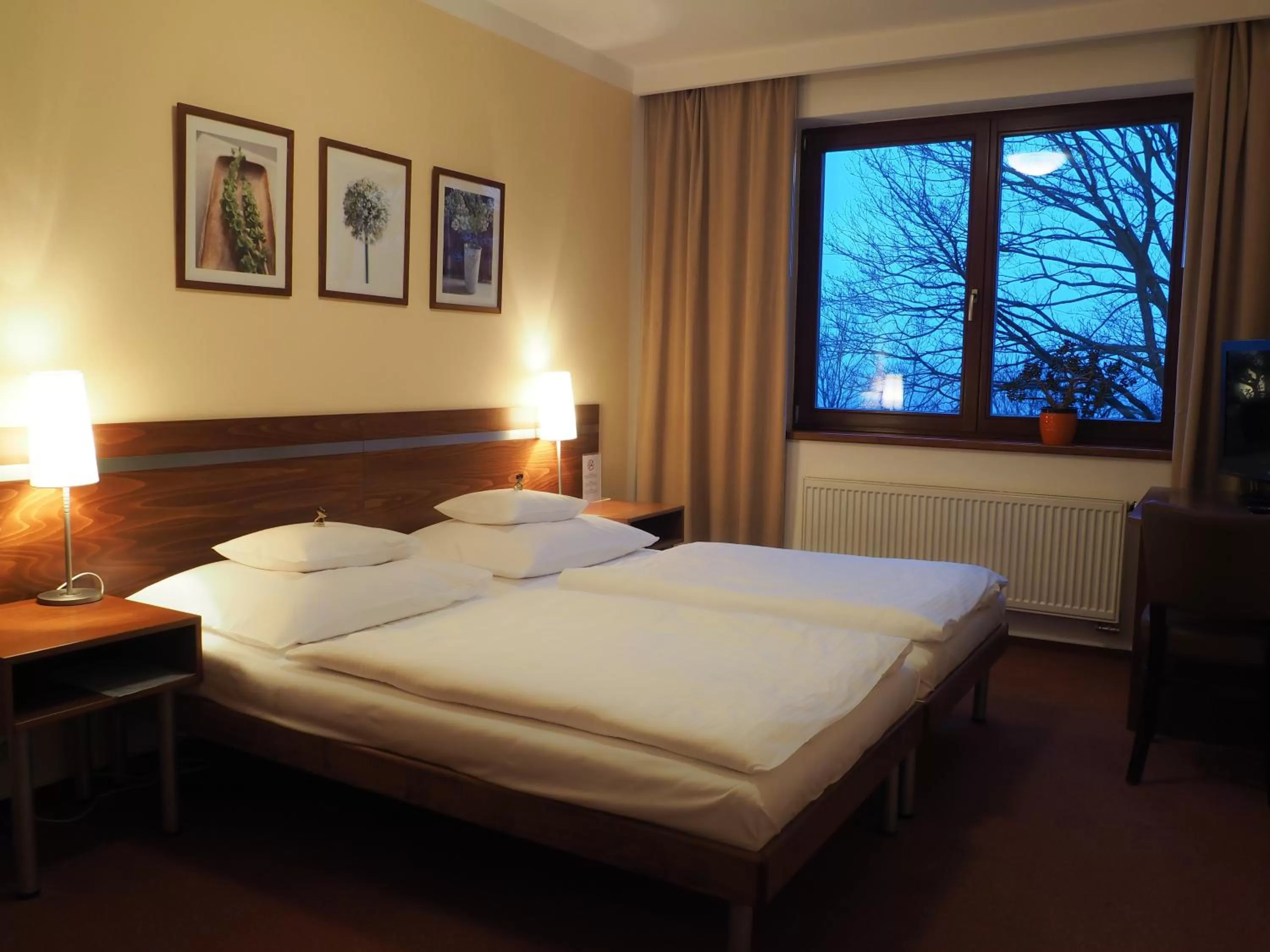 Photo of the whole room, Bed in Hotel Cvilín