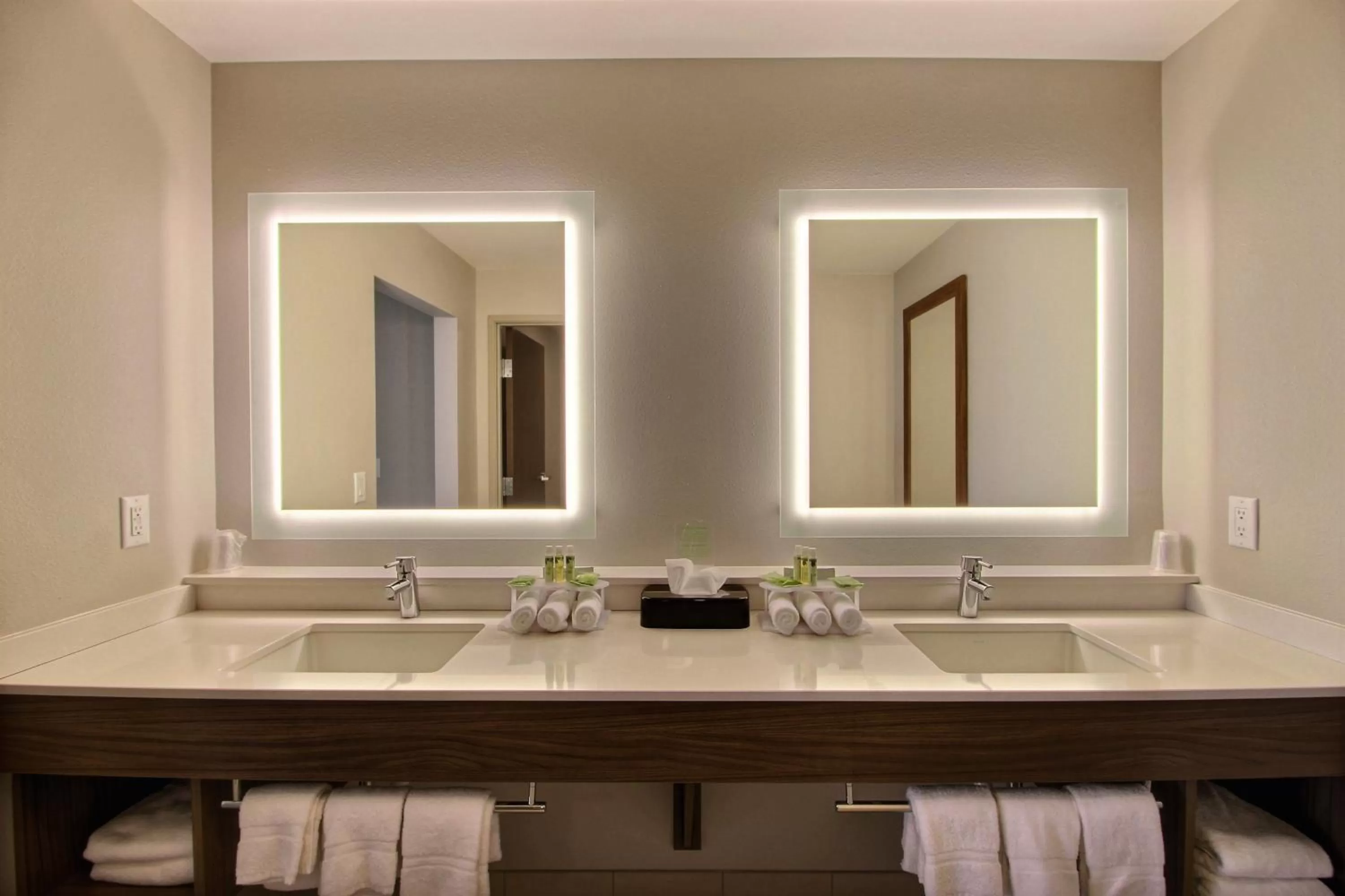 Bathroom in Holiday Inn Express & Suites Fond Du Lac by IHG