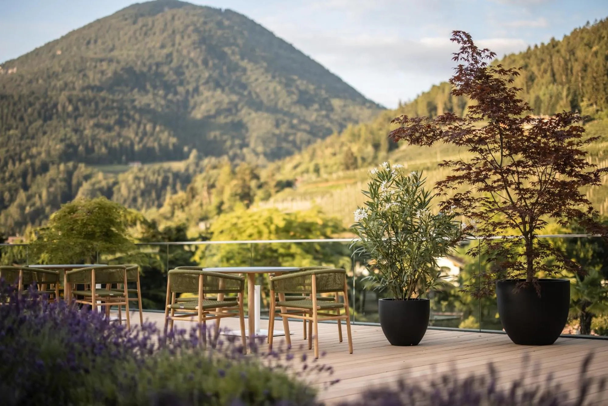 View (from property/room) in ALPIANA - green luxury Dolce Vita Hotel