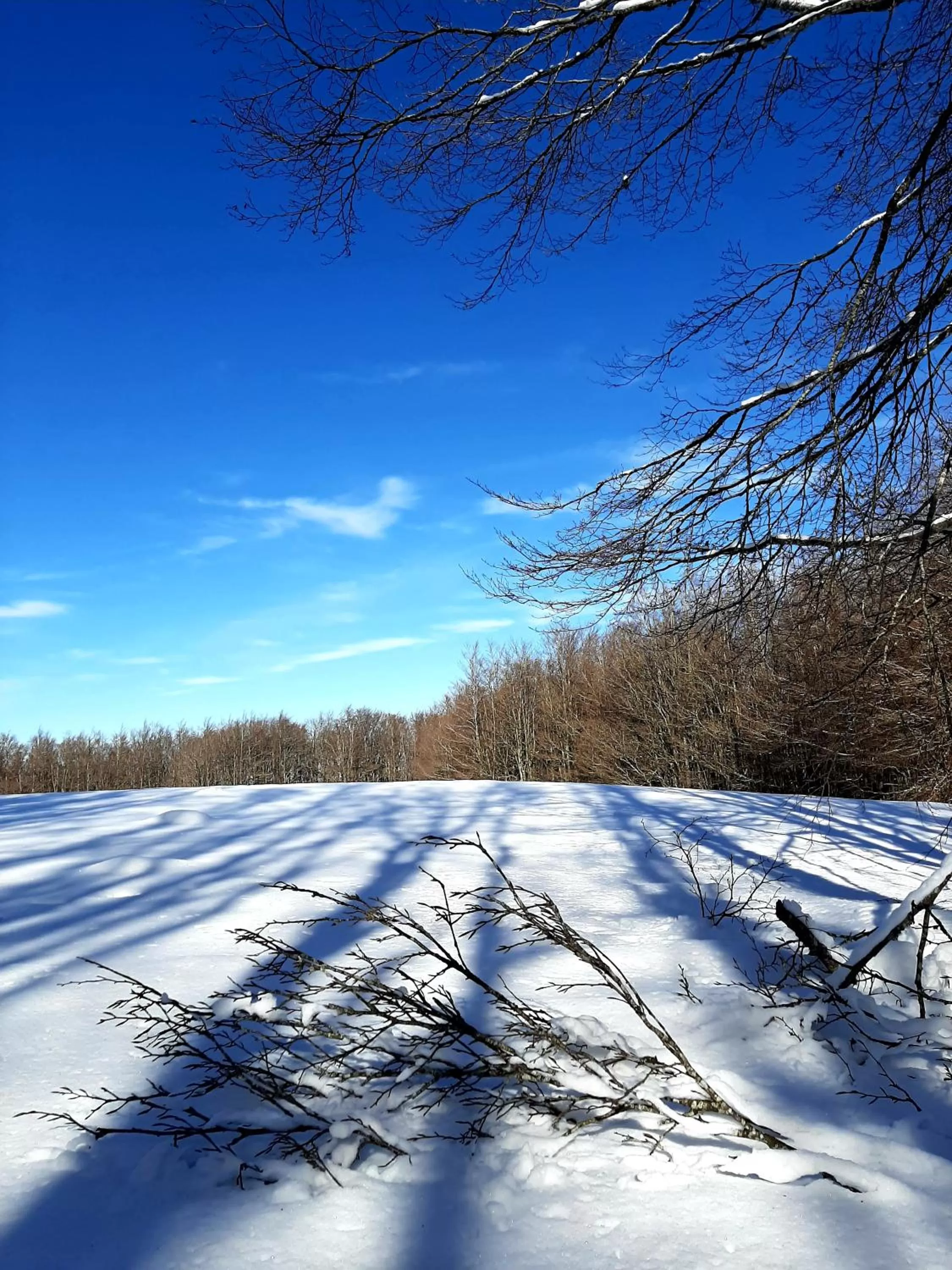 Winter in B&B degli Allori