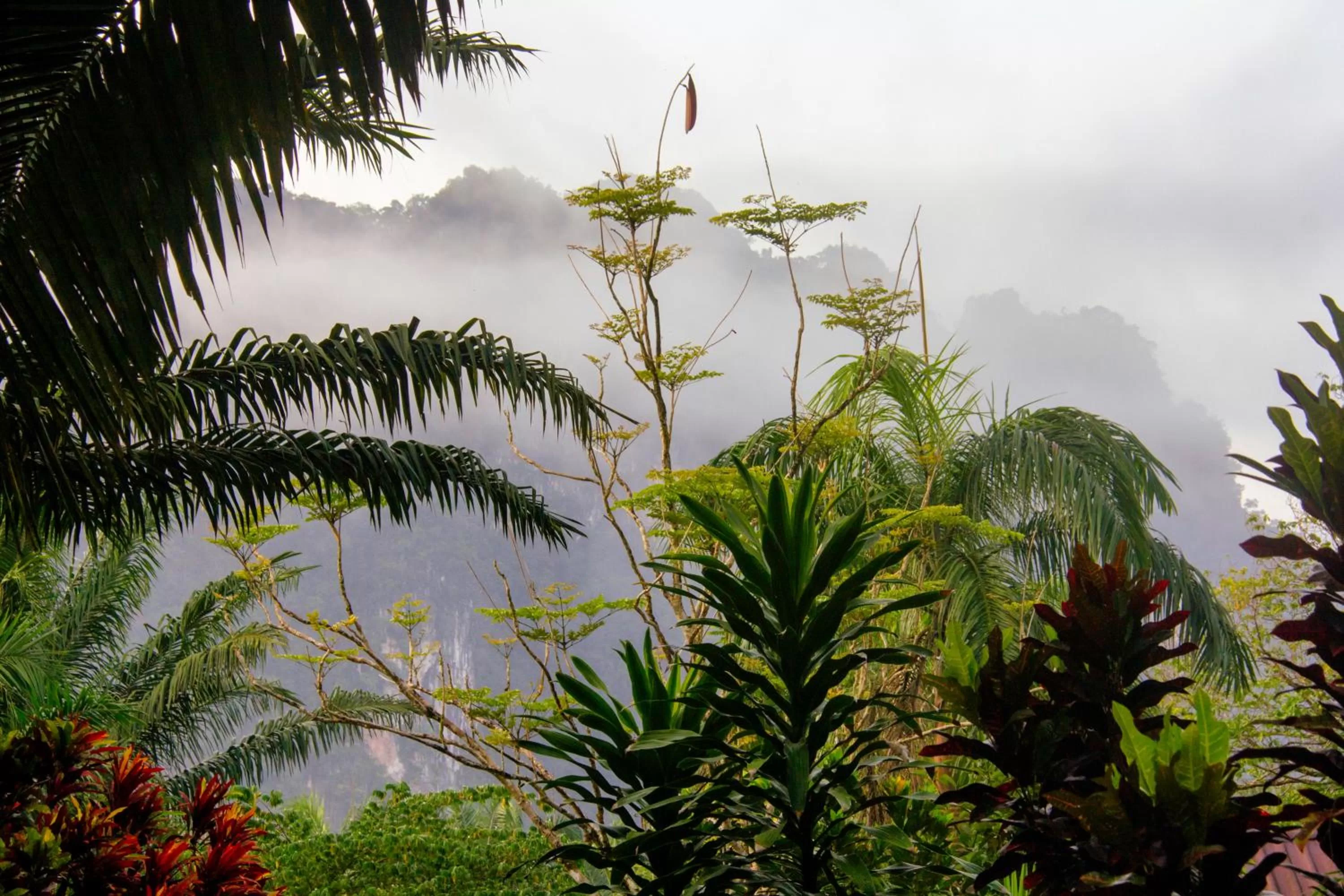 Natural landscape in Khao Sok Palmview Resort