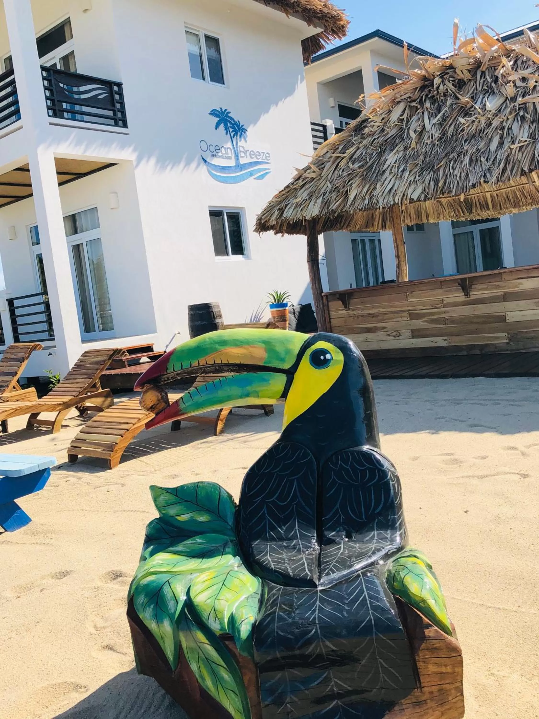 Beach in Ocean Breeze