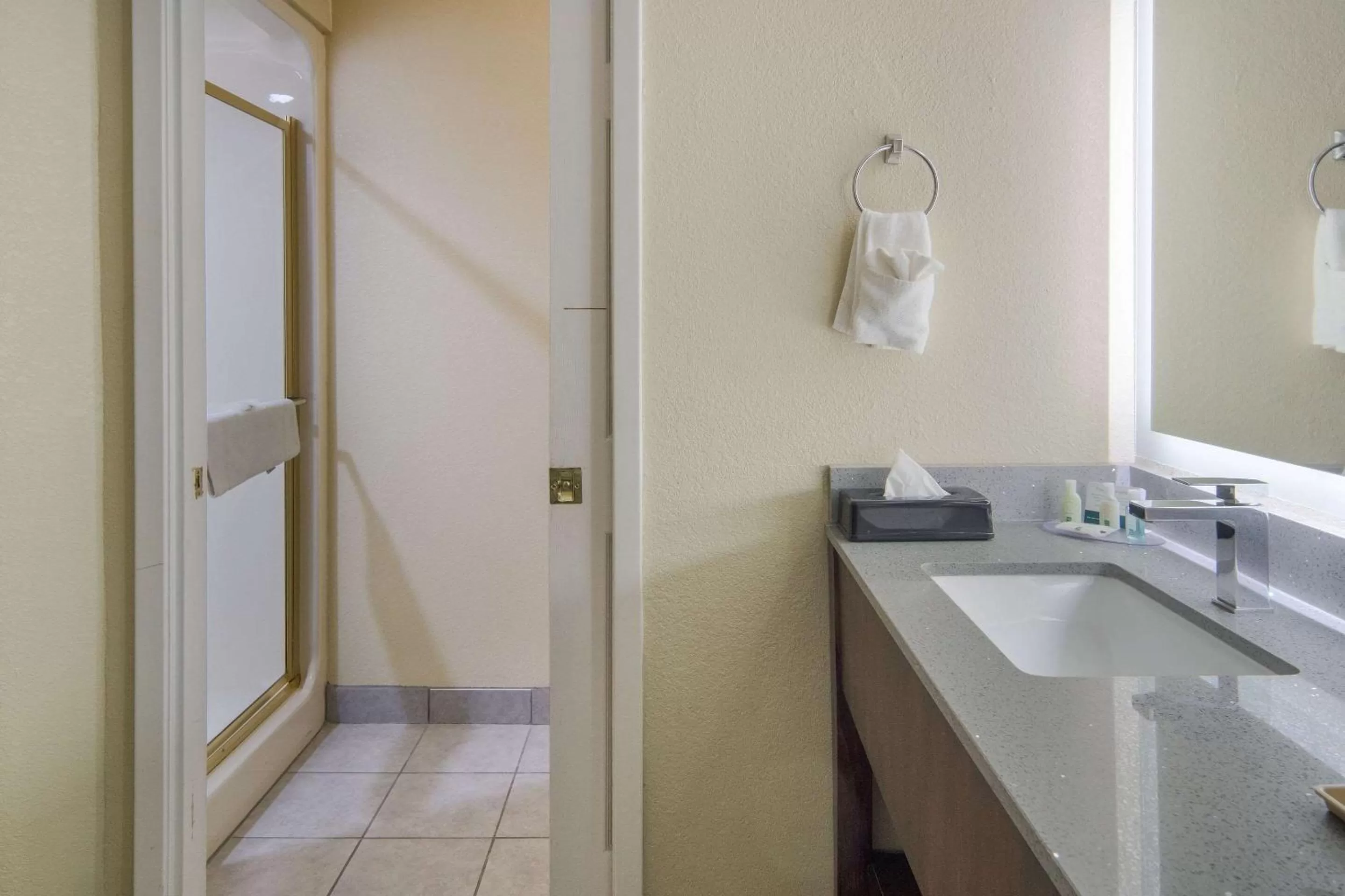 Bedroom in Quality Inn & Suites Roanoke - Fort Worth North