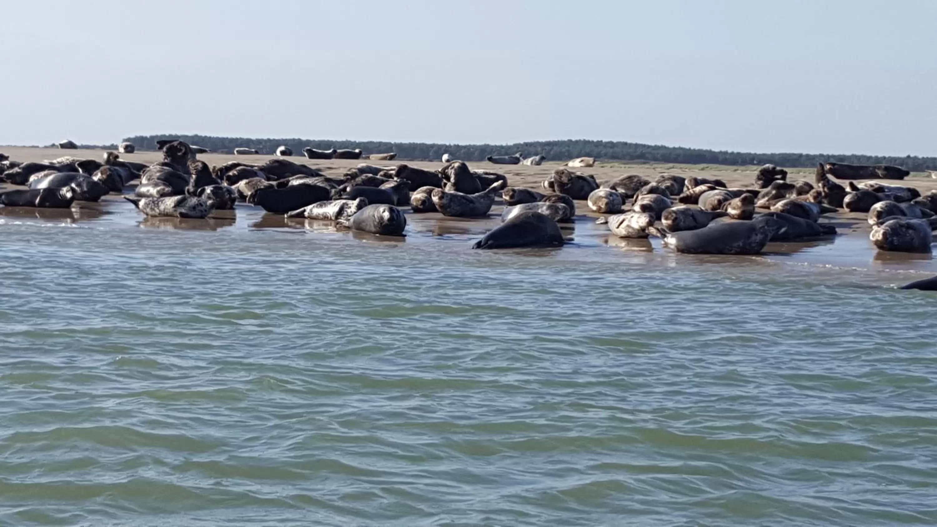Nearby landmark in La Sirène