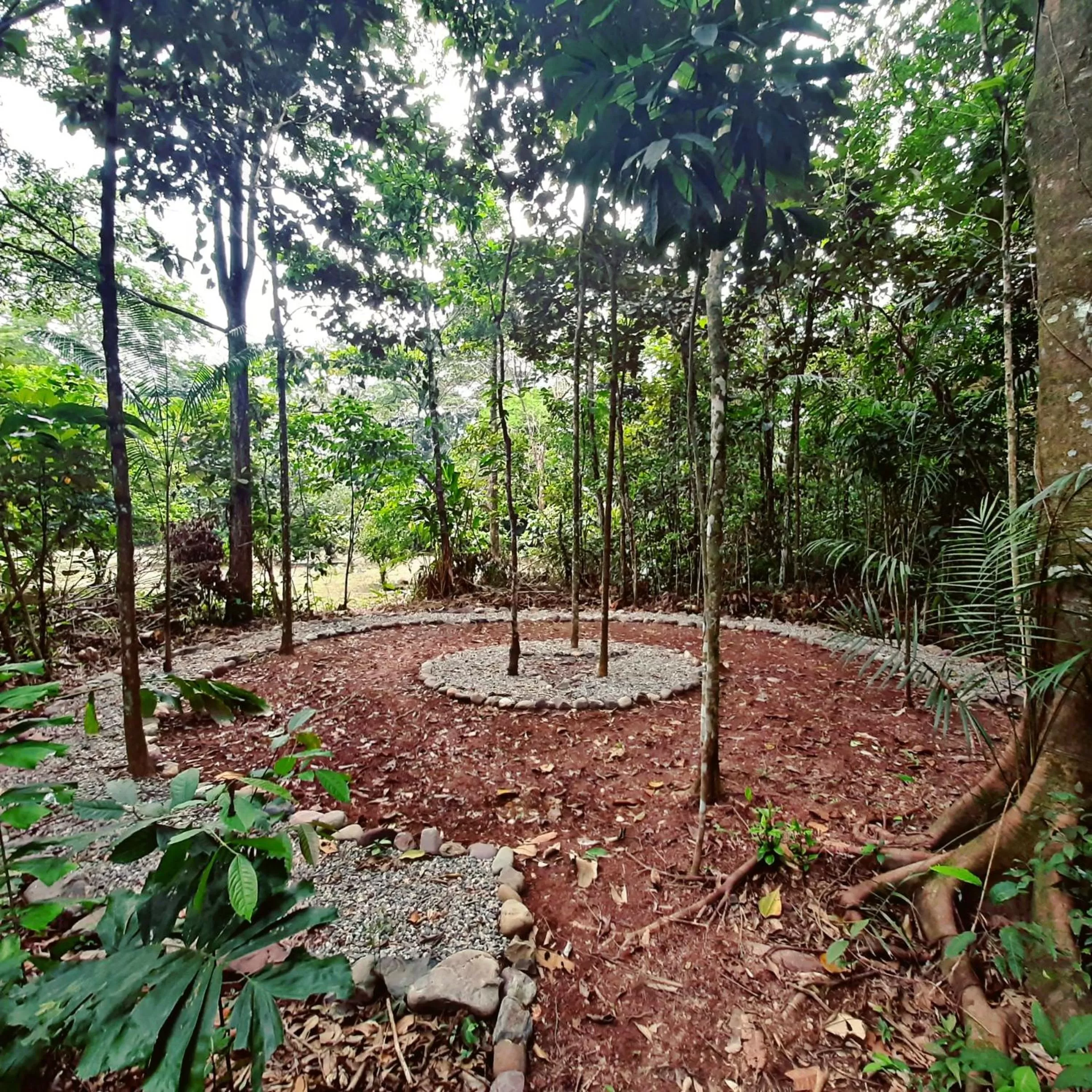 Garden in Ecolodge Cosmogénesis