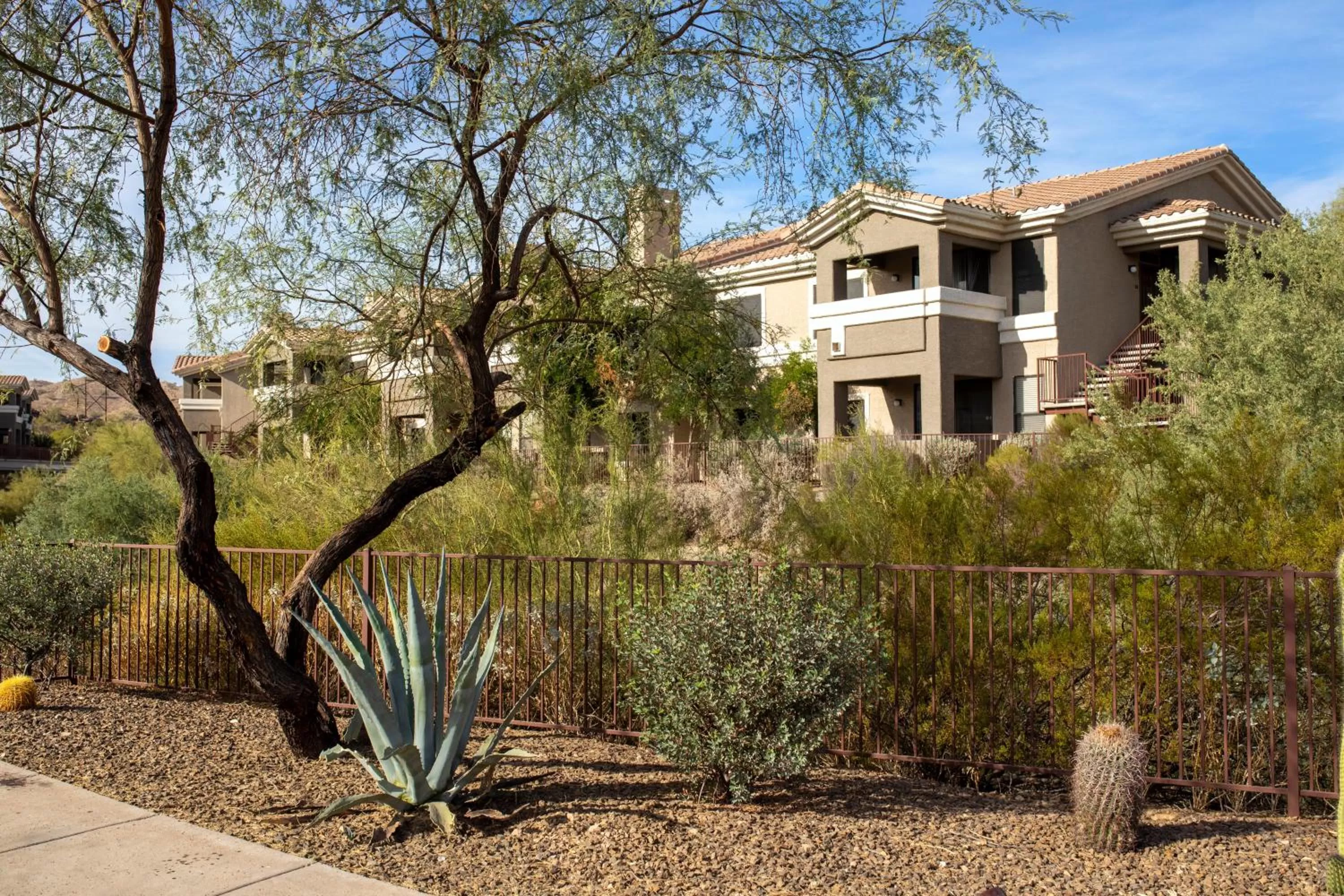 Decorative detail in Raintree at Phoenix South Mountain Preserve