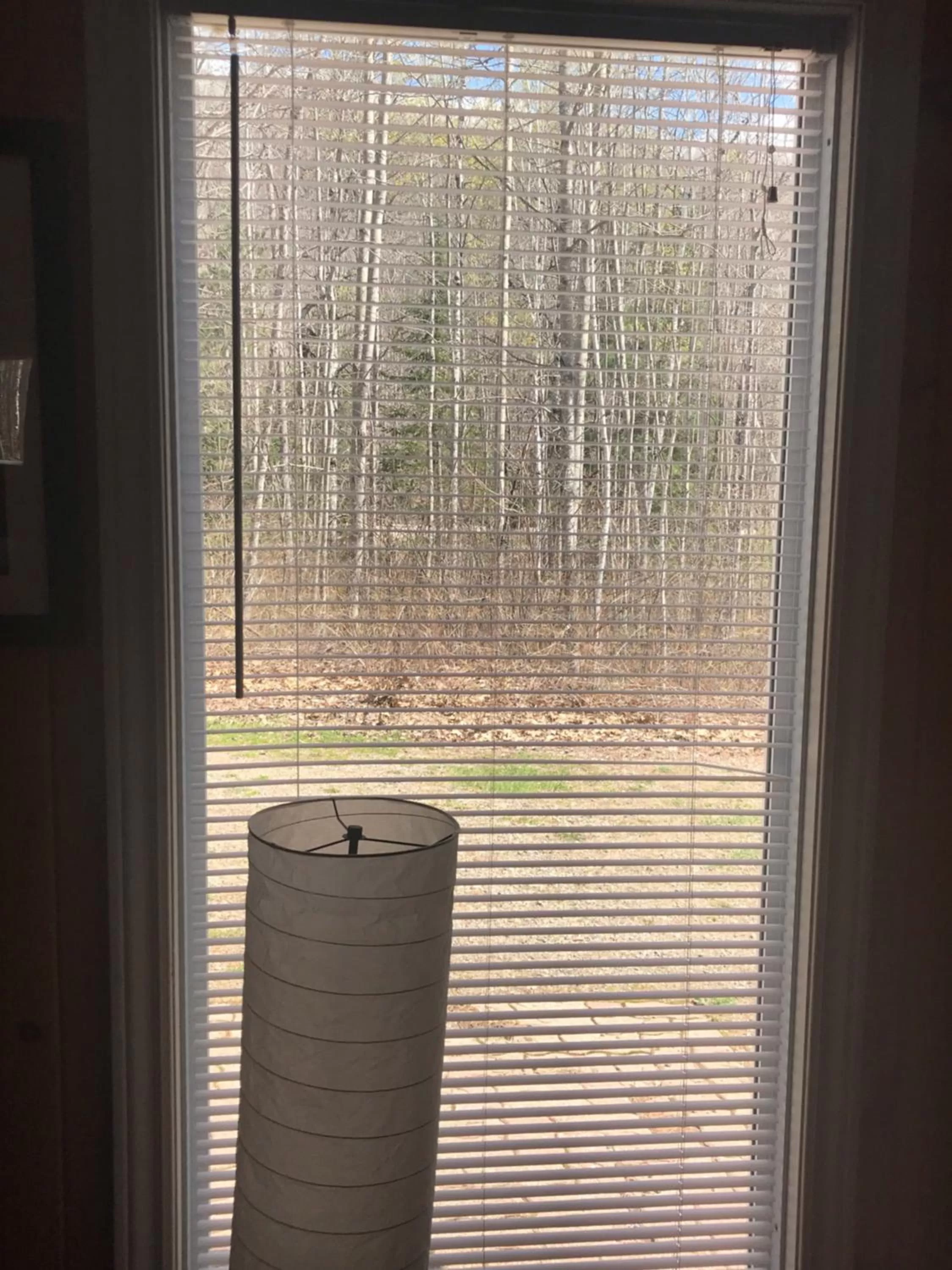 Hush Lodge and Cottages