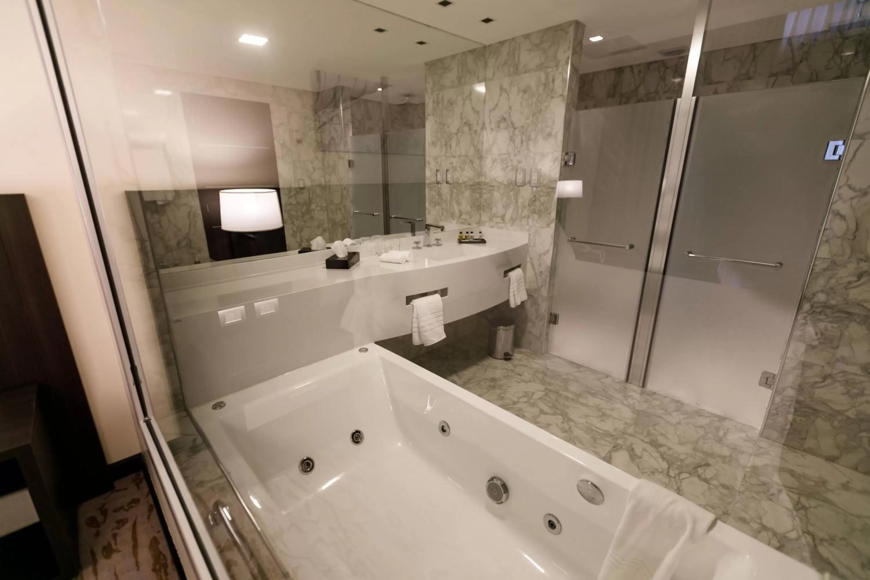 Bathroom in Hilton Garden Inn Santiago Del Estero - HILTON HOTELS