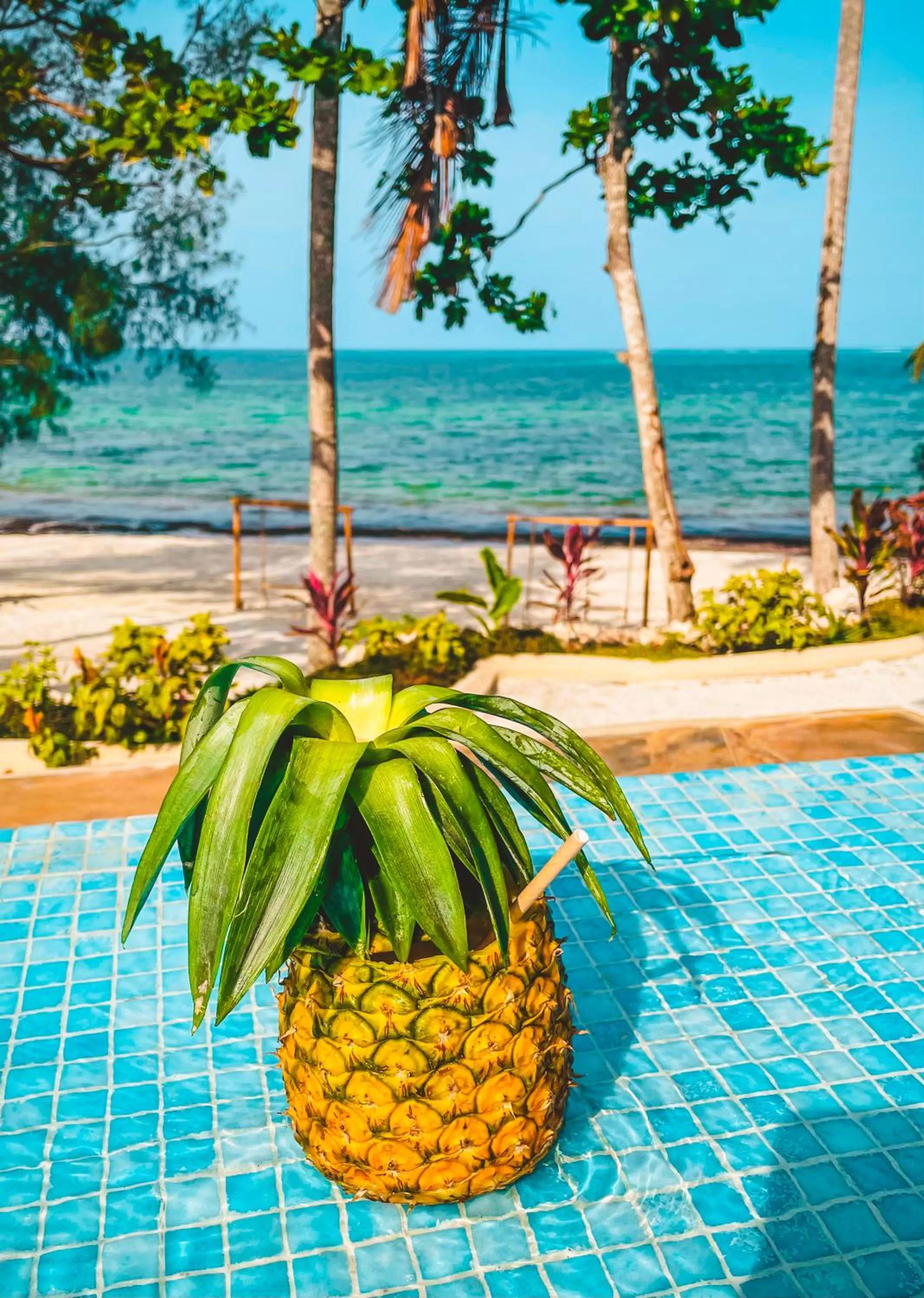 Food and drinks in Zanzibella Hotel & SPA