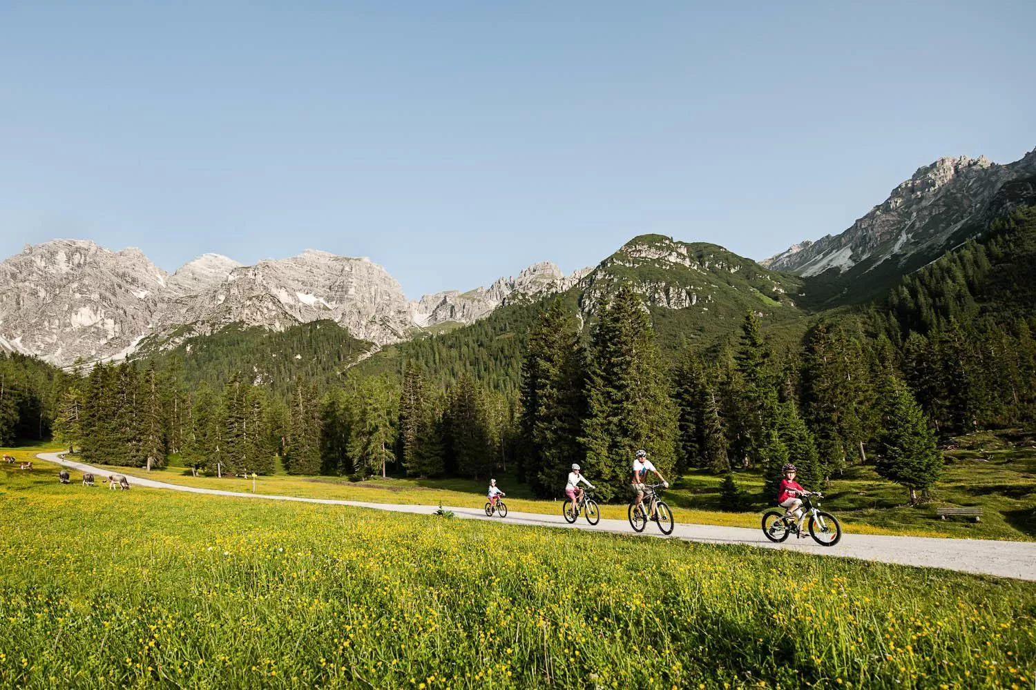 Natural landscape in Gasthof Sportalm