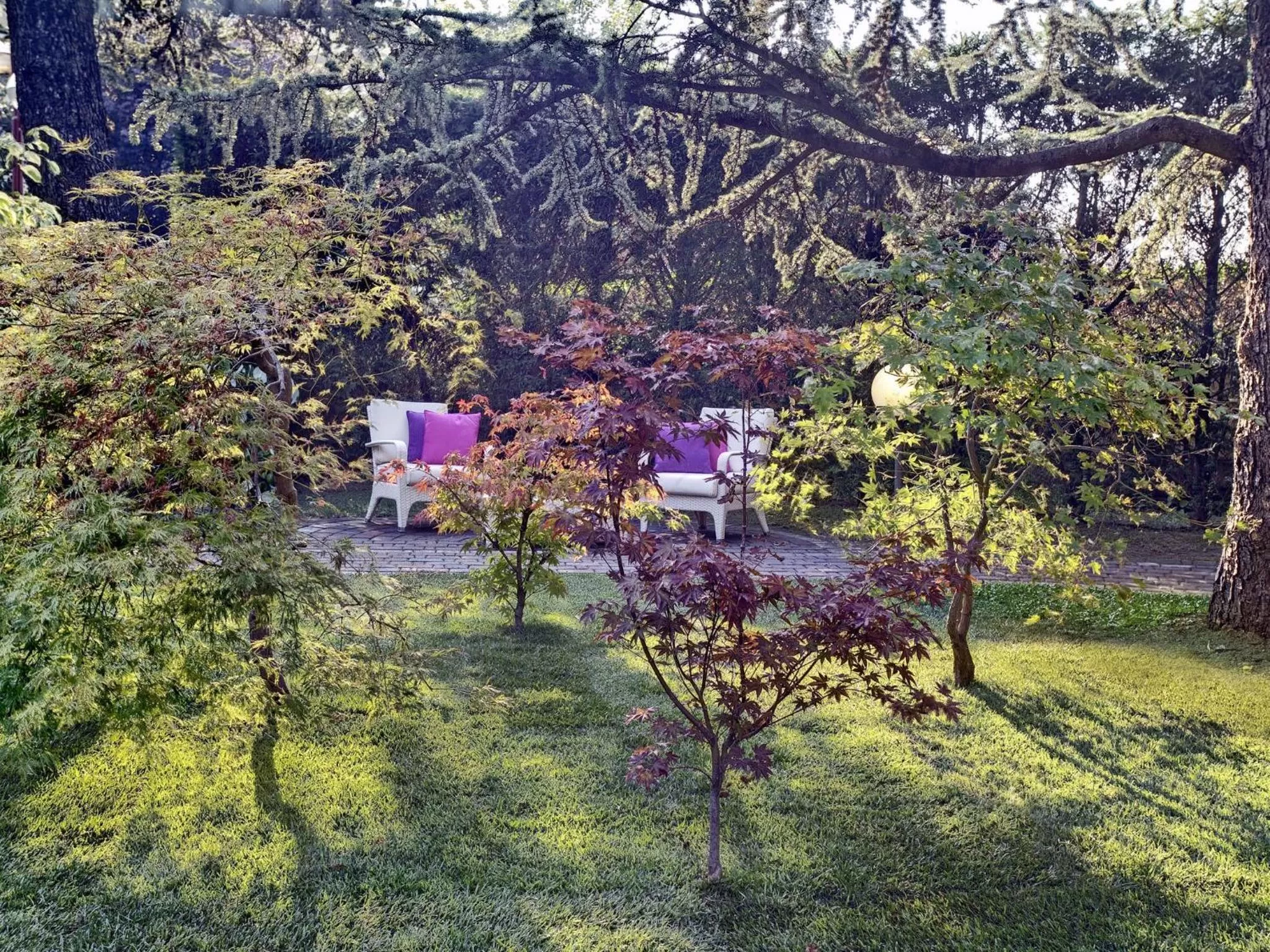 Garden in Hotel Eliseo Terme