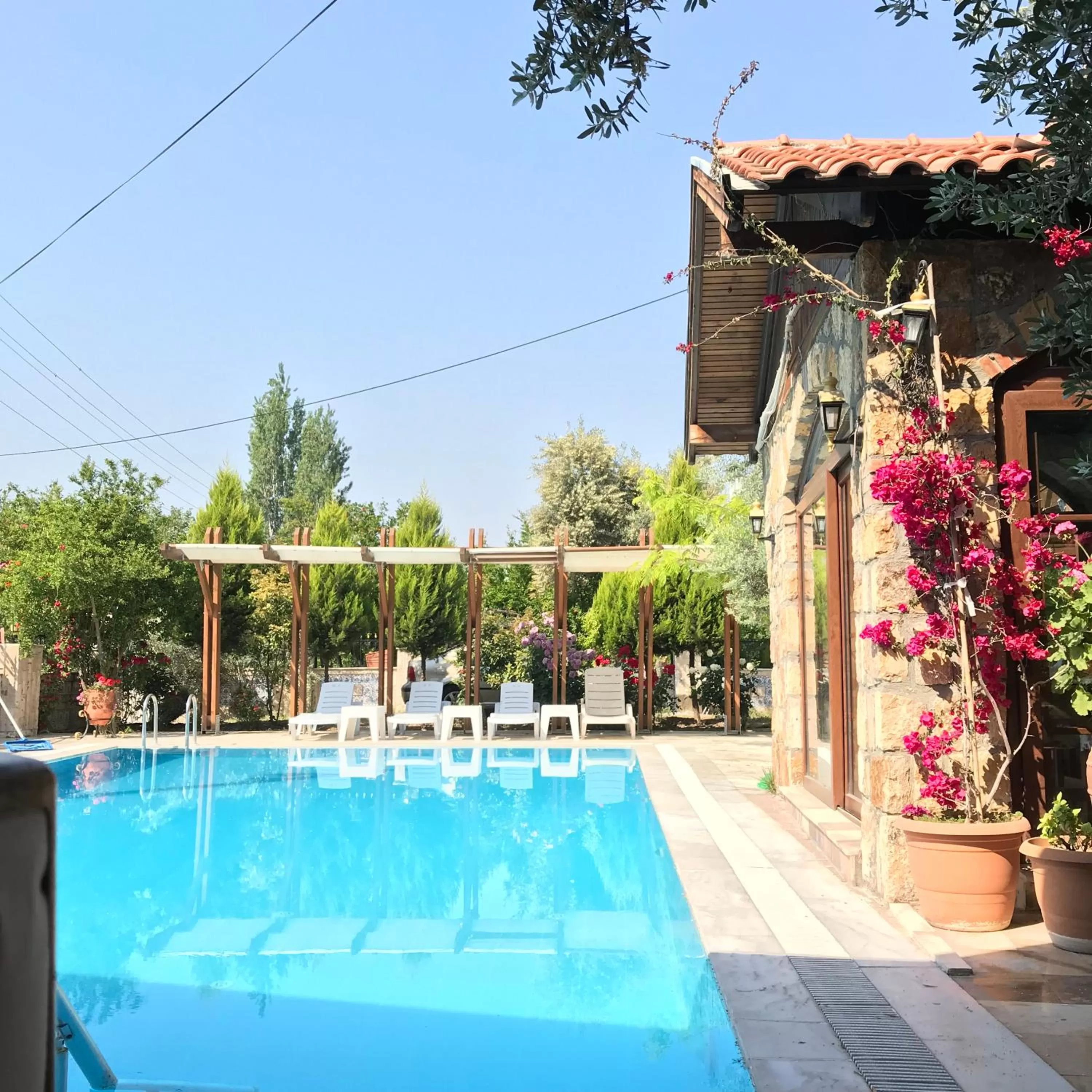 Day in Melrose Pansiyon