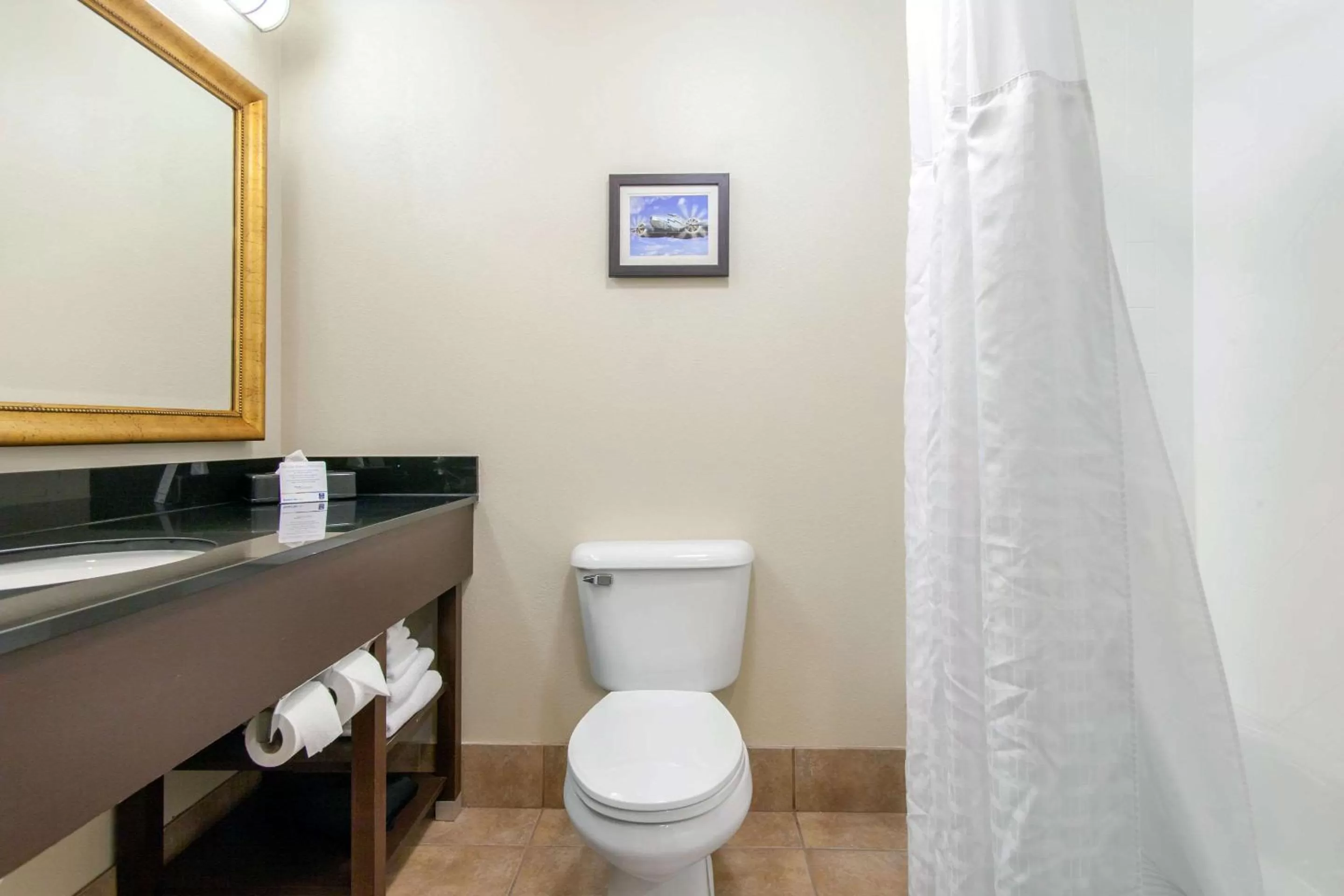 Bathroom in Comfort Inn & Suites Norman near University