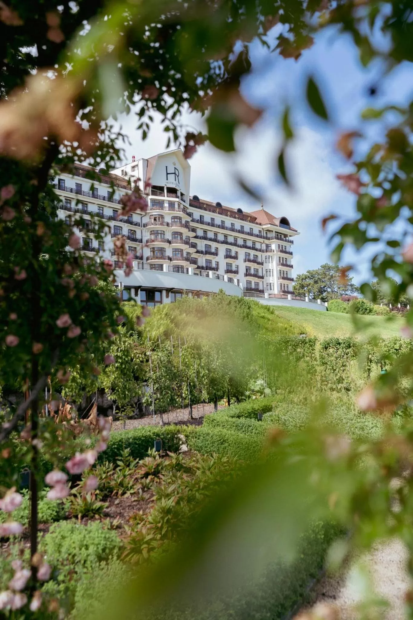 Garden in Hôtel Royal
