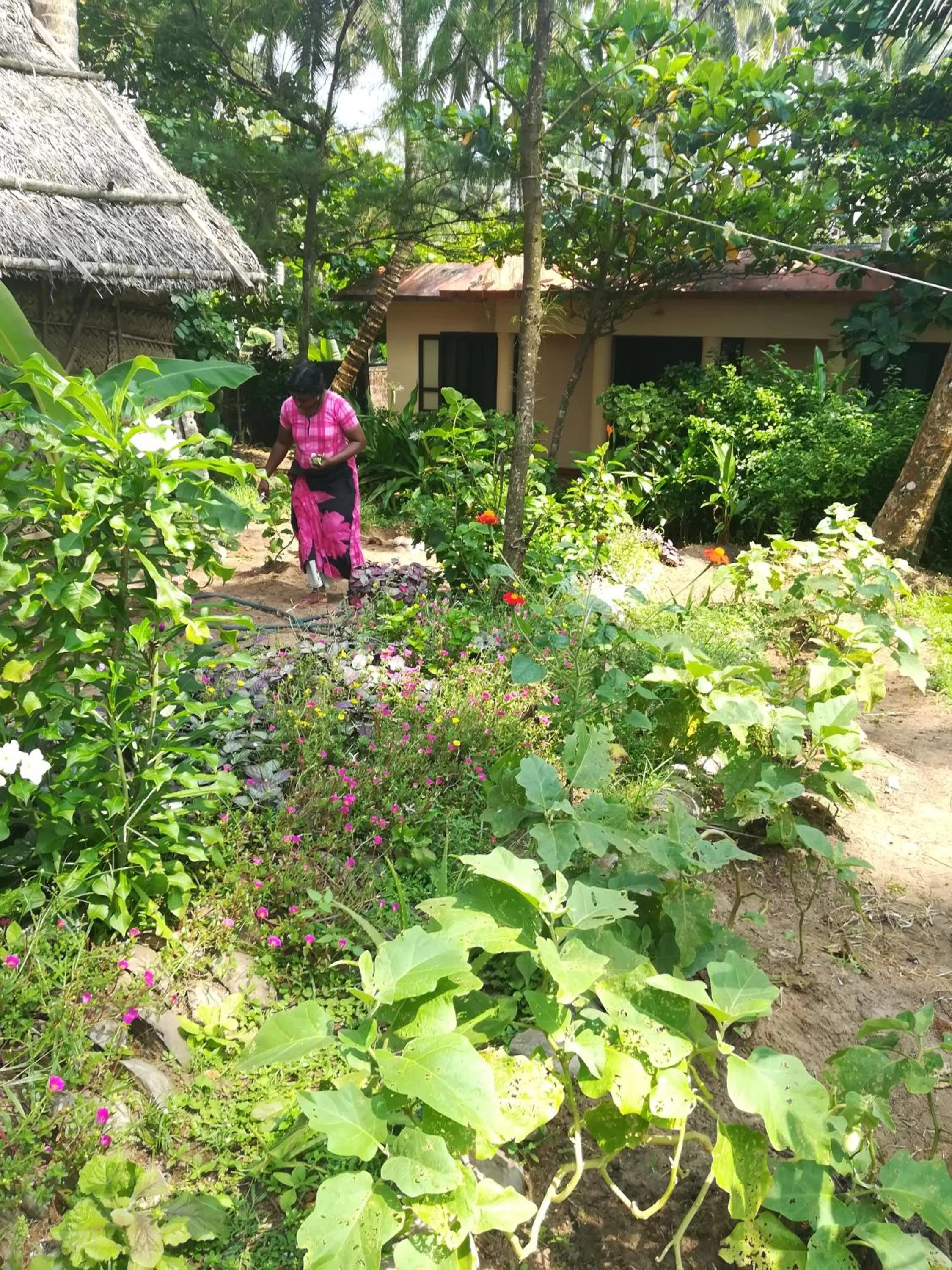 Garden in Sukriti beach Resort