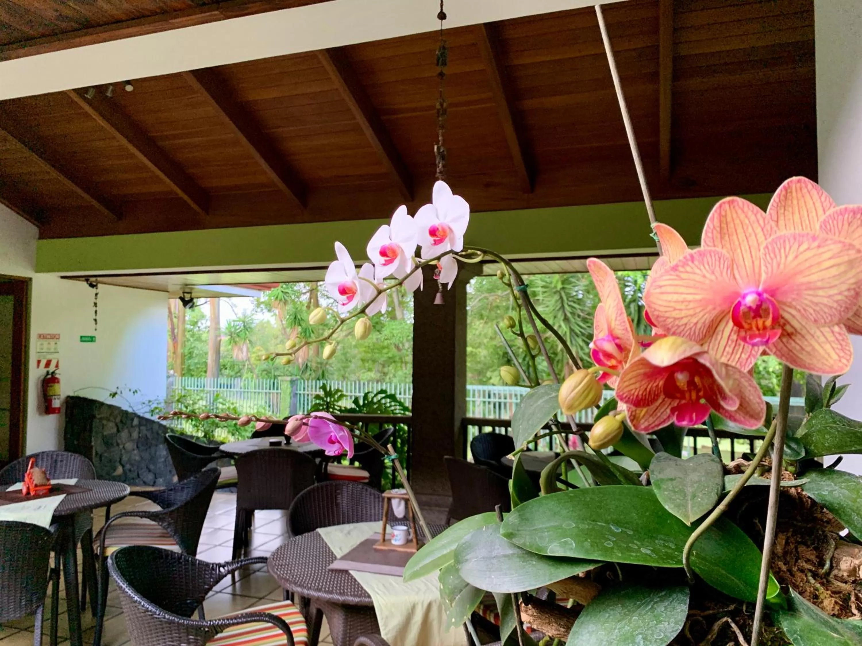 Area and facilities in Terrazas de Golf Boutique Hotel