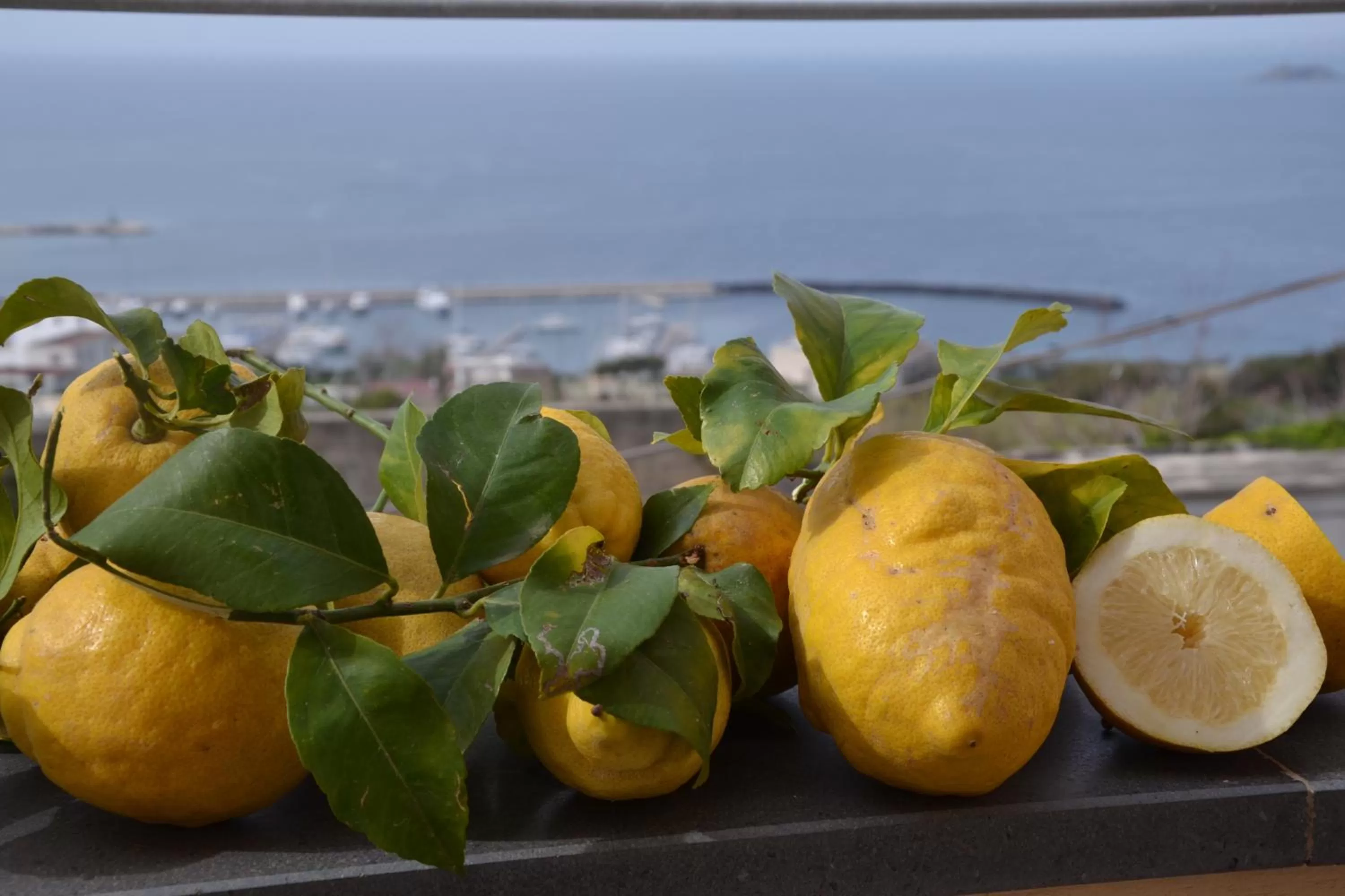 Balcony/Terrace in Terra Murata Boutique b&b