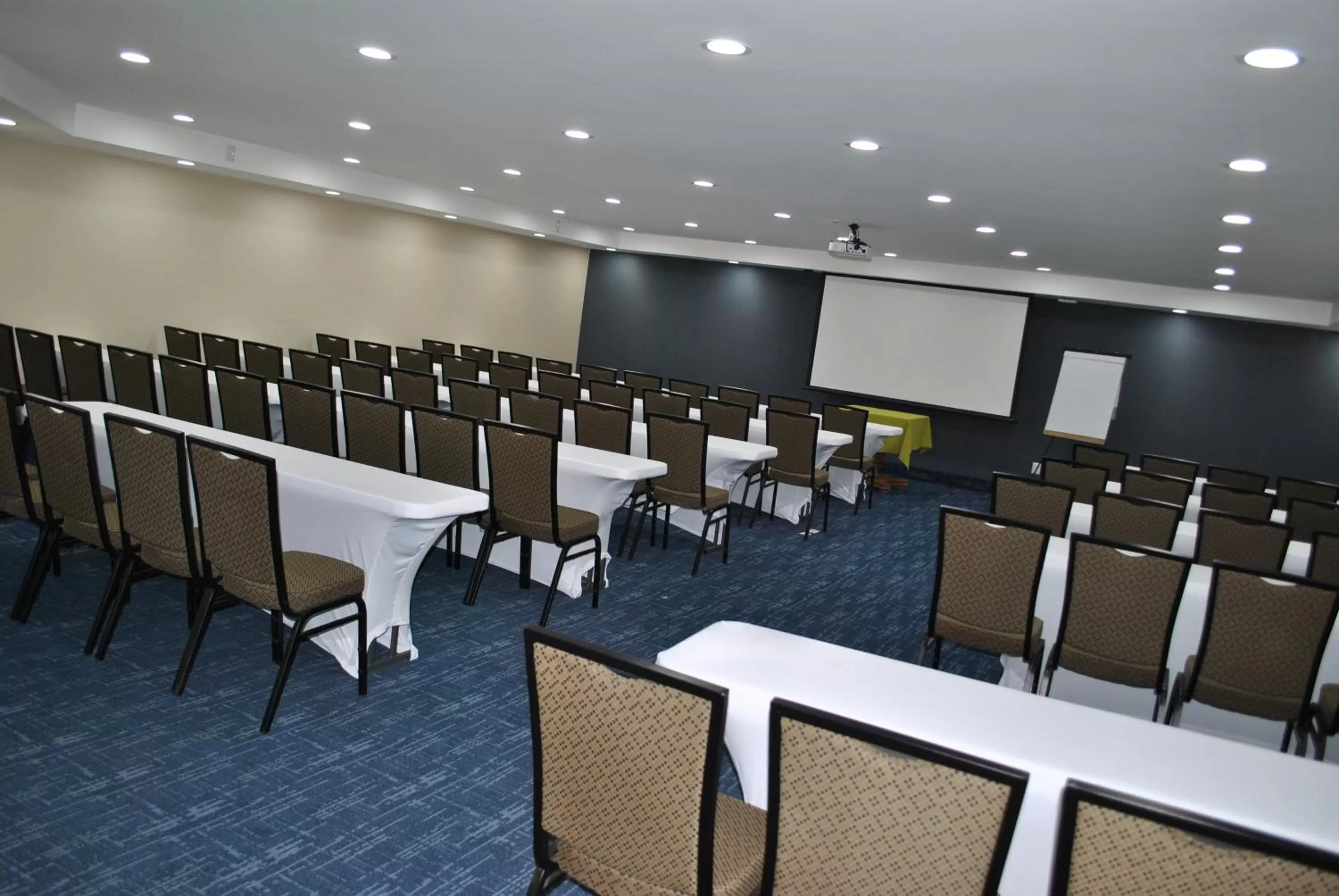 Meeting/conference room in Holiday Inn Express Toluca by IHG