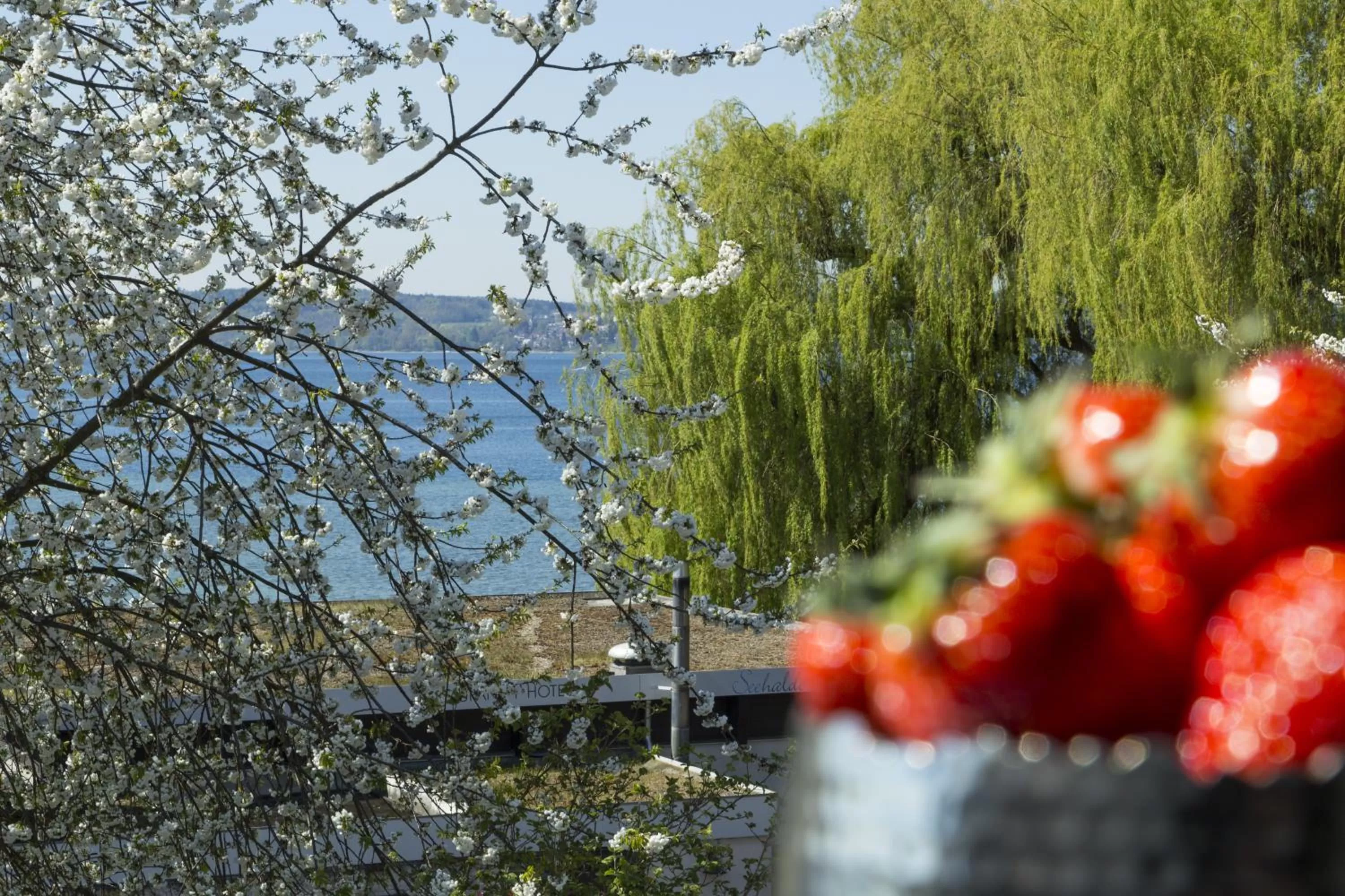 Day in Pilgerhof und Rebmannshof