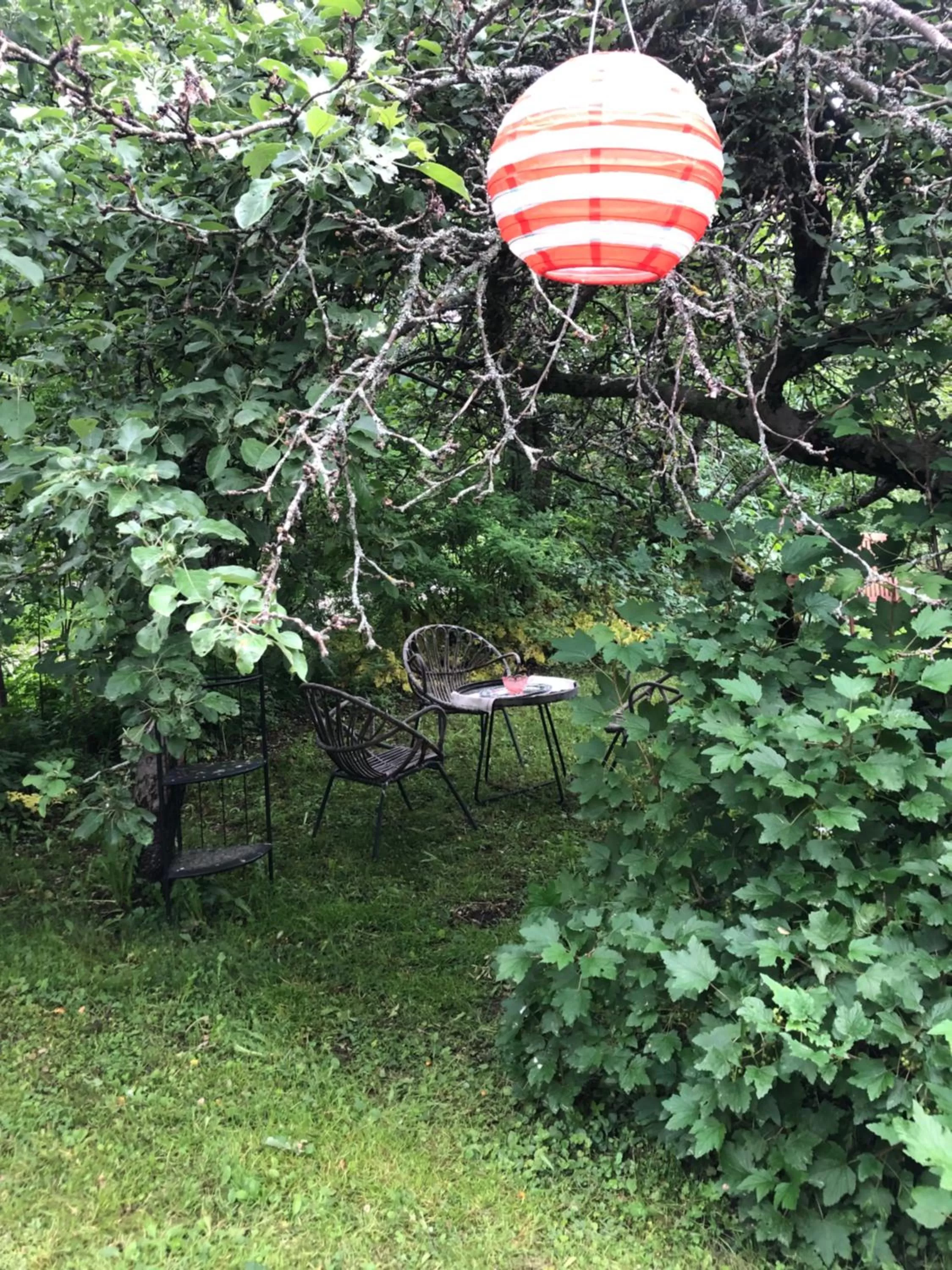 Garden view, Garden in Villa Lyckan