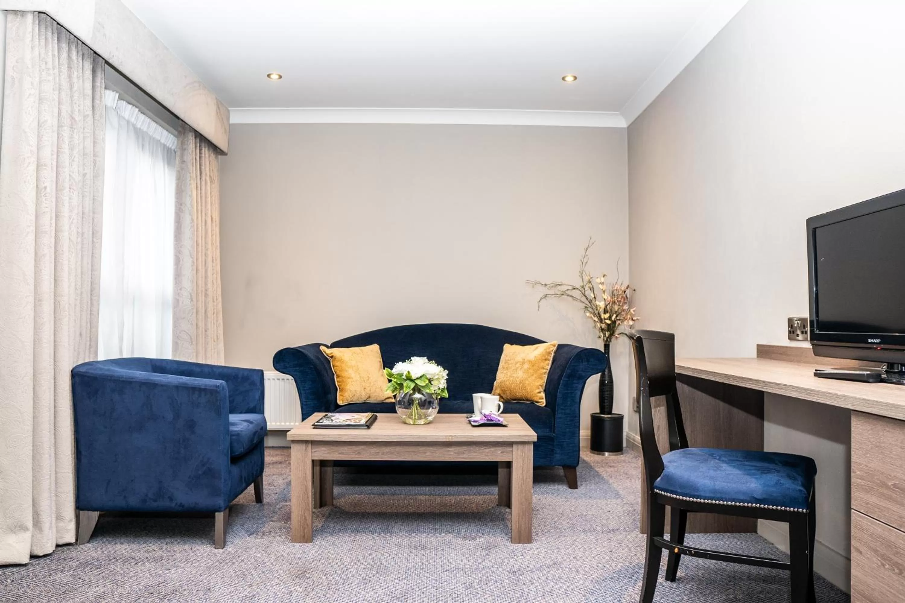 TV and multimedia in Seagoe Hotel