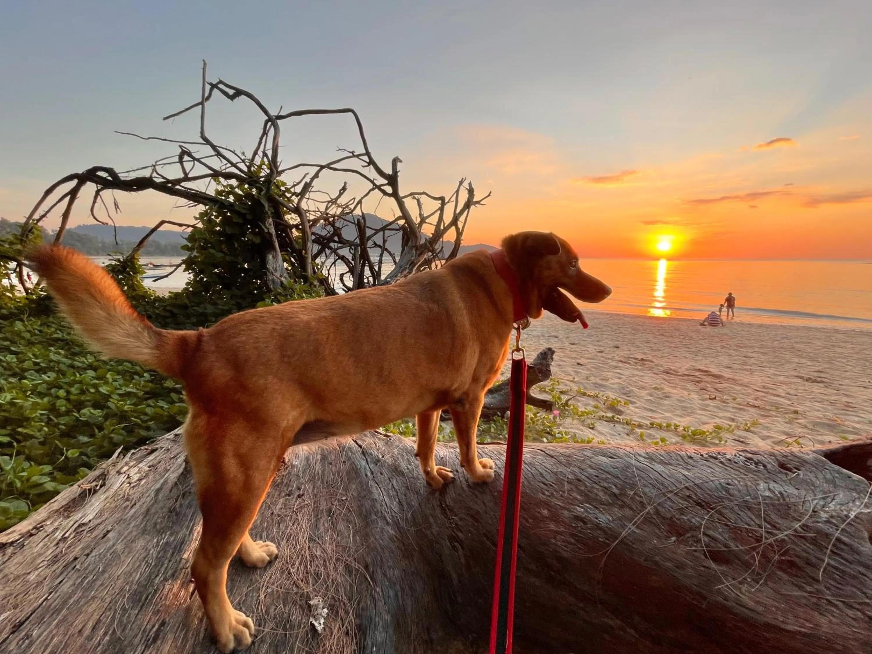 Beach in Ideo Phuket Hotel - Naiyang Beach