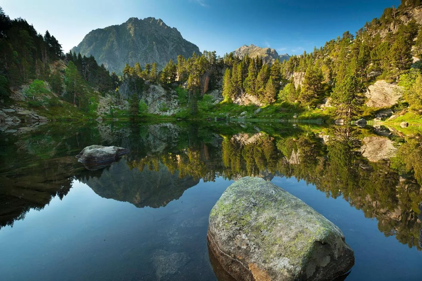 Natural landscape in Hotel Restaurant Les Brases