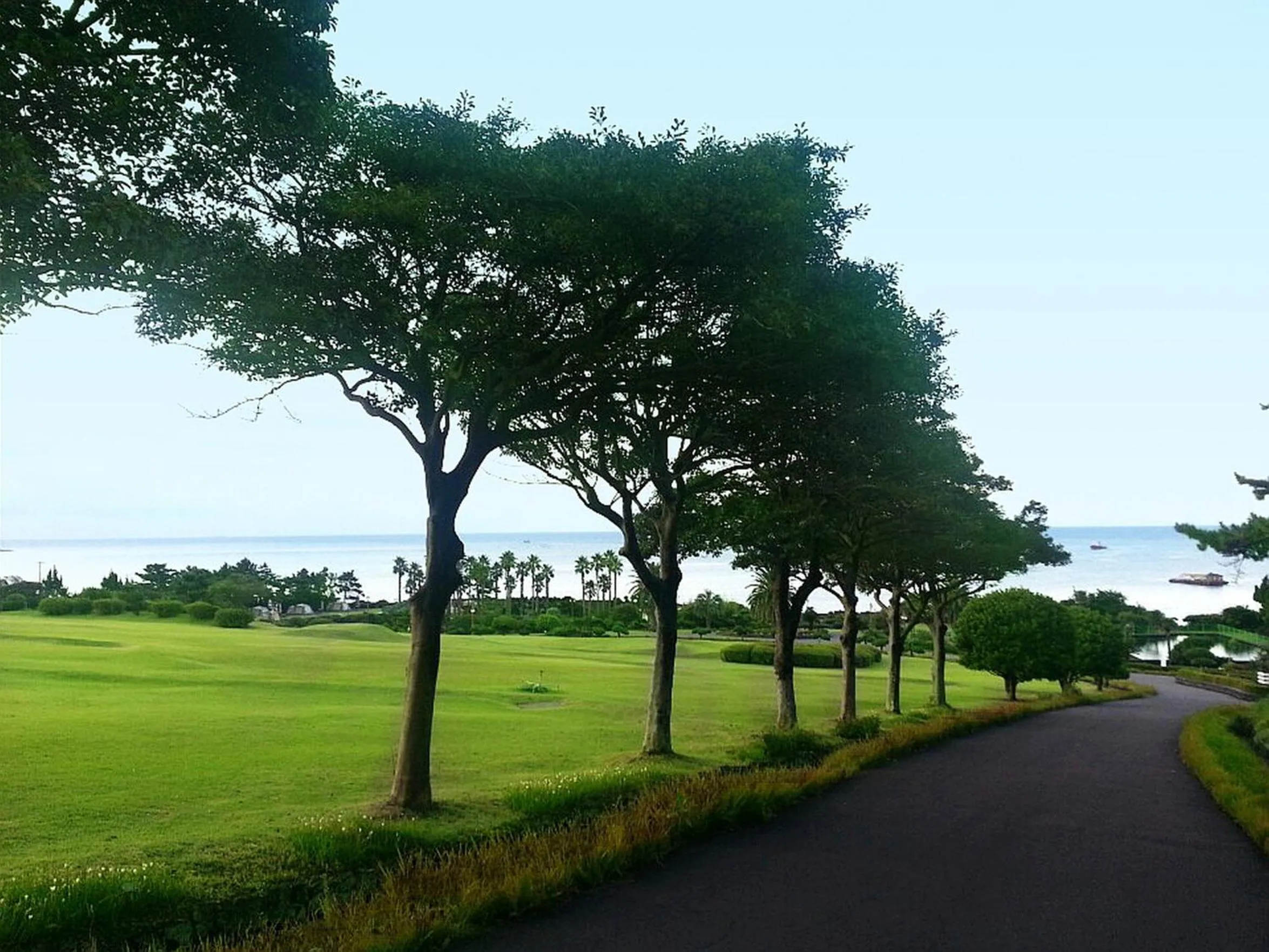 Neighbourhood in Seogwipo KAL Hotel