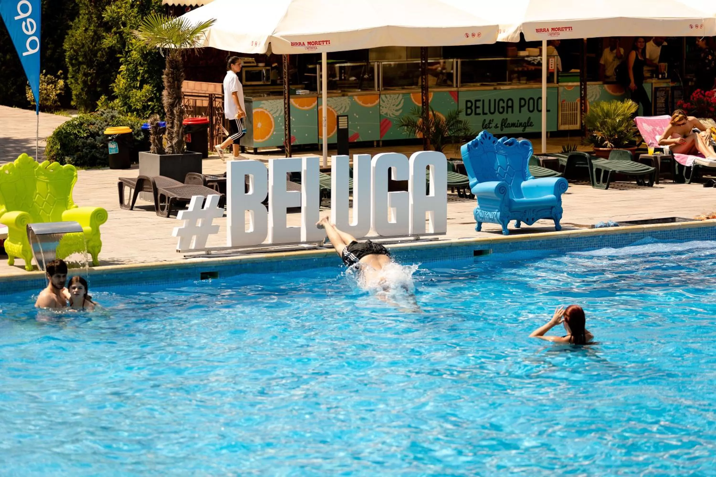 Swimming pool in Hotel Terra Balneo
