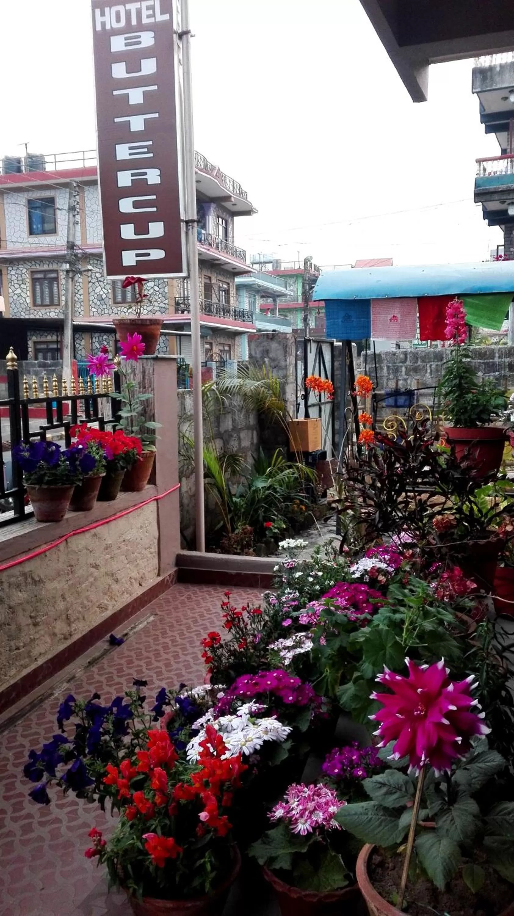 Property building in Hotel Buttercup