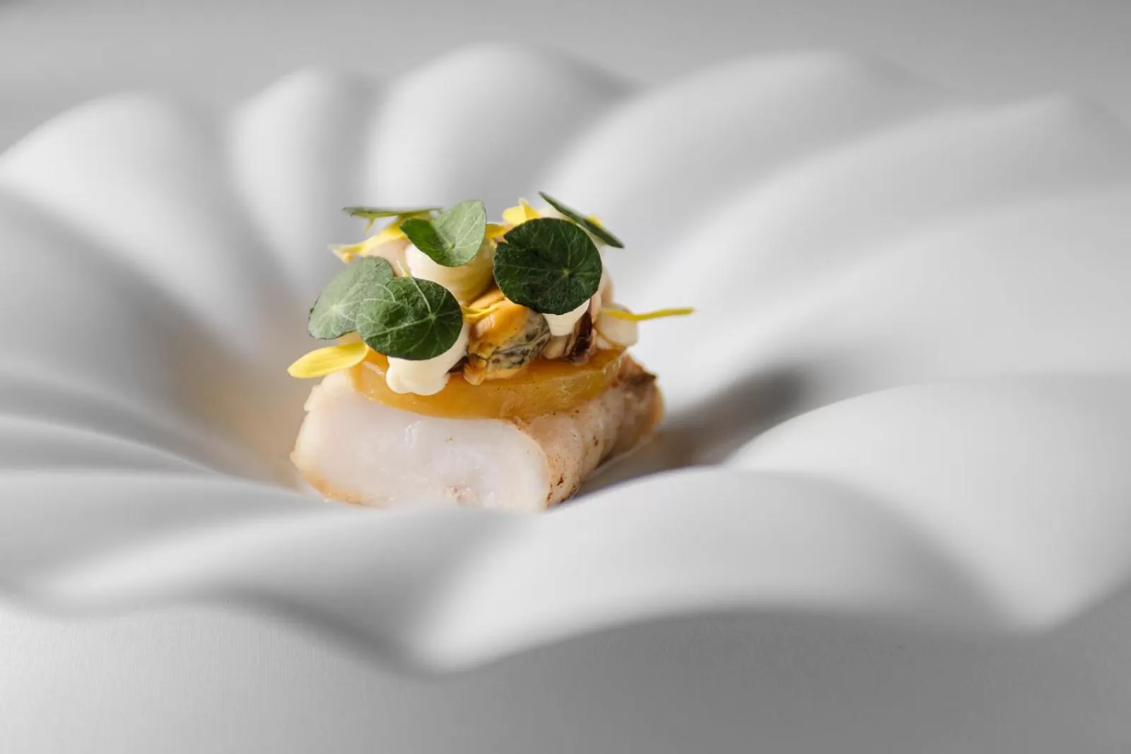 Restaurant/places to eat in Château de Vignée