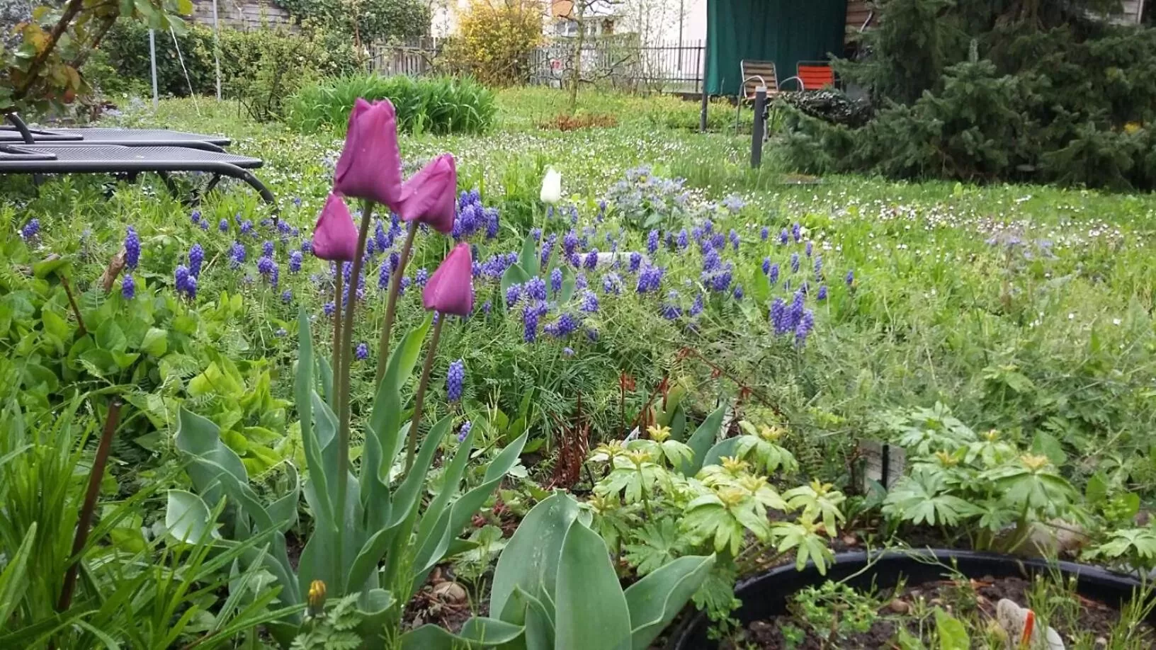 Garden in B&B Kalimera Pratteln