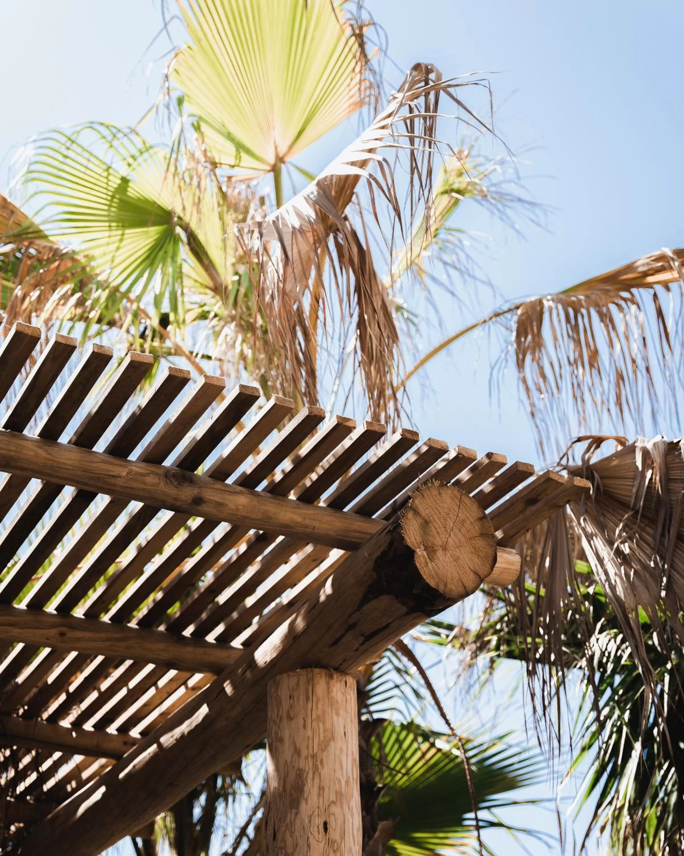 Hotel So Far So Good