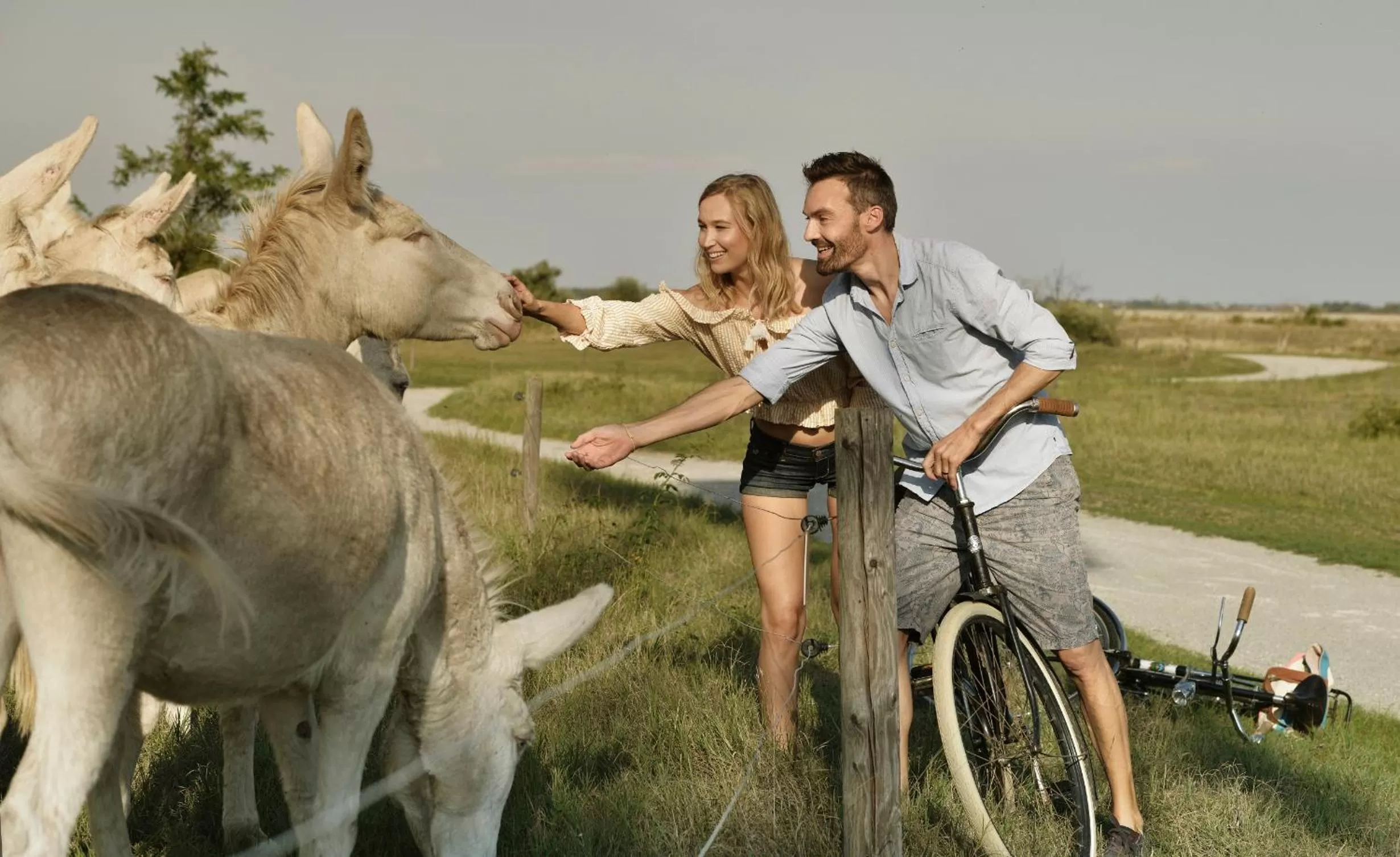 Animals in Hotel Nationalpark