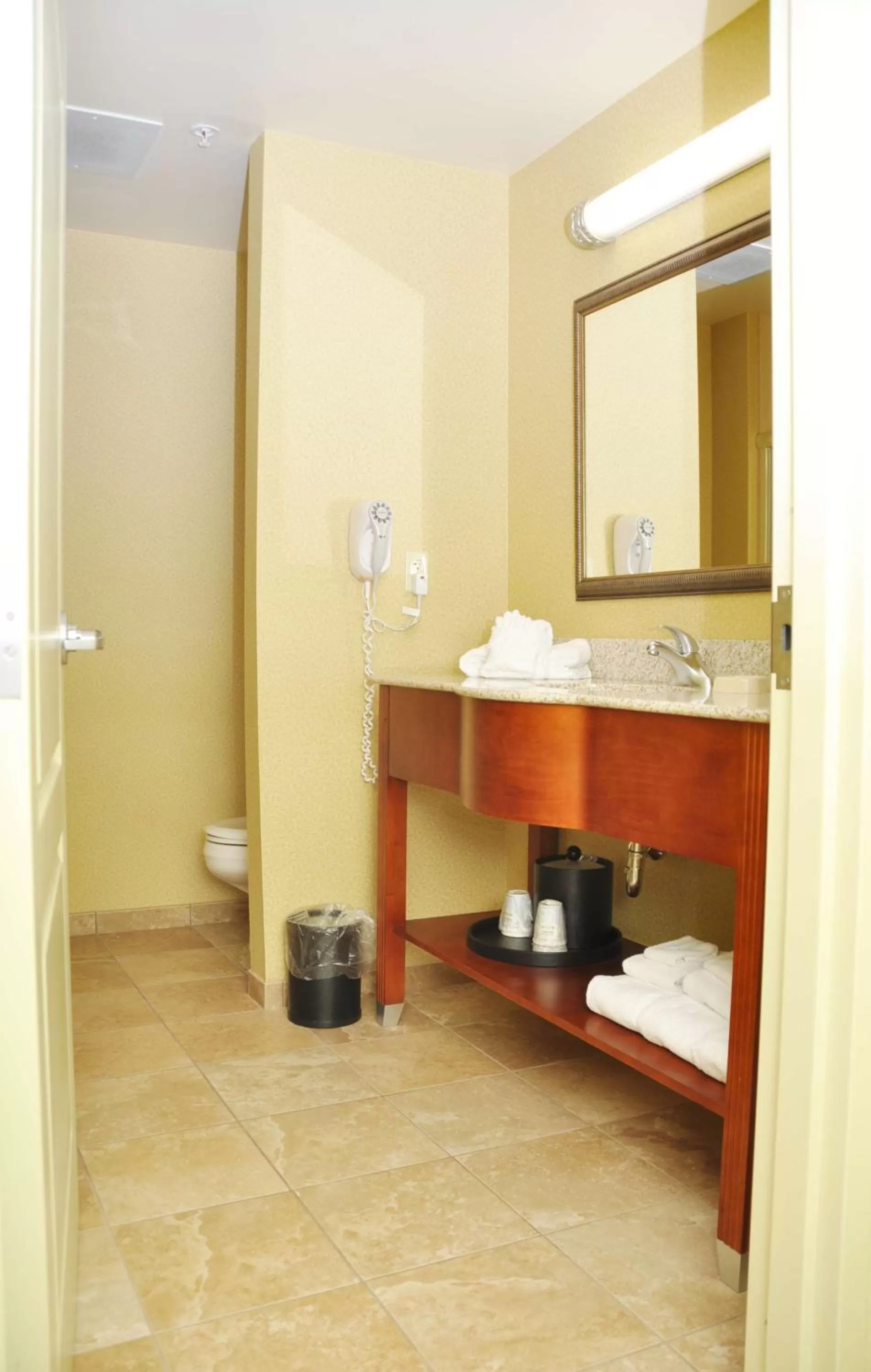 Bathroom in Hampton Inn Macomb