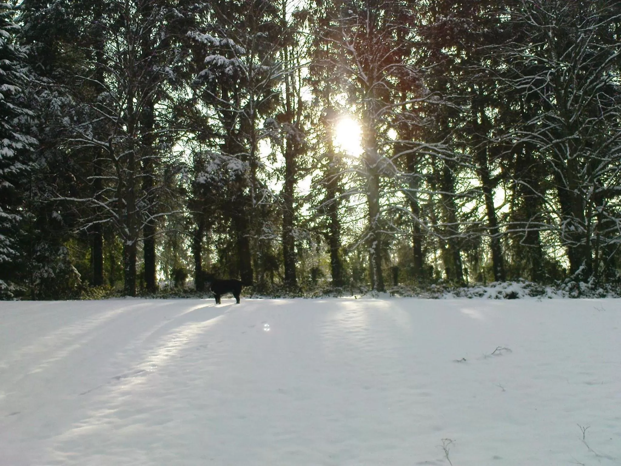 Facade/entrance, Winter in La Croix du Reh