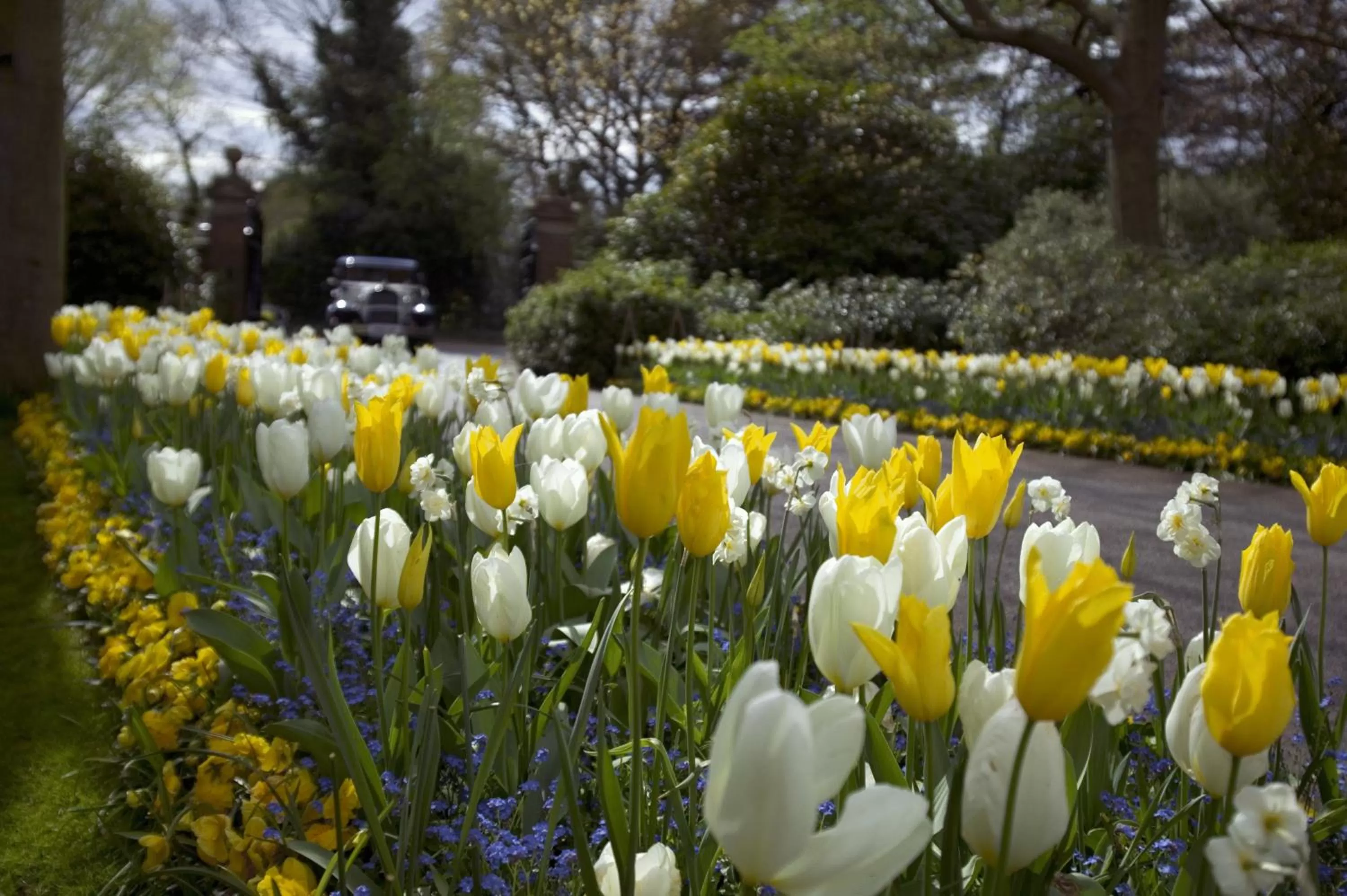 Garden in Warren House Hotel