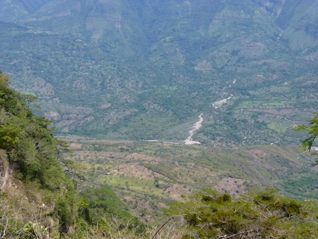 Natural landscape in Finca San Pedro