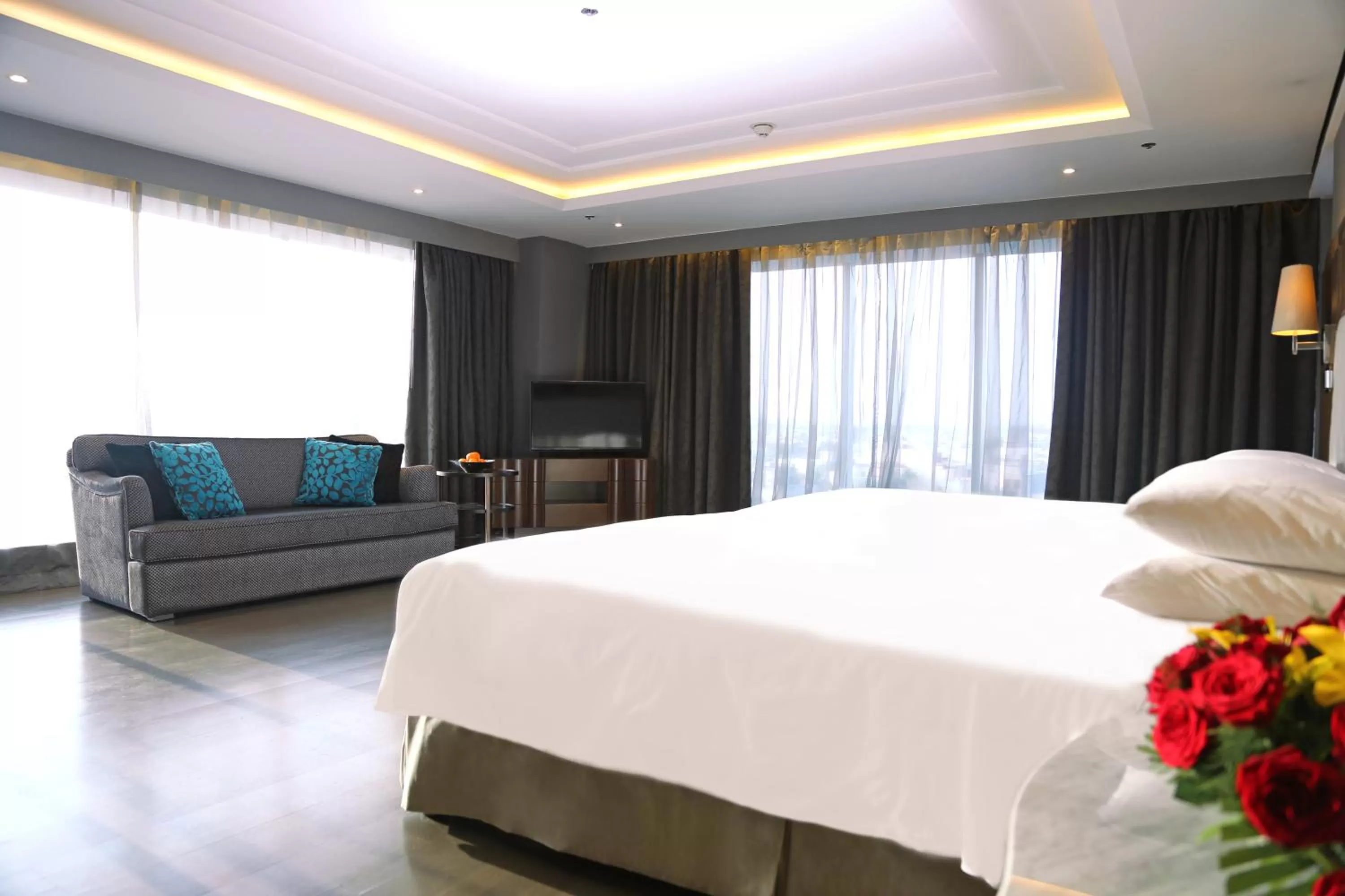 Premier Suite - single occupancy in Hyatt Regency Ludhiana