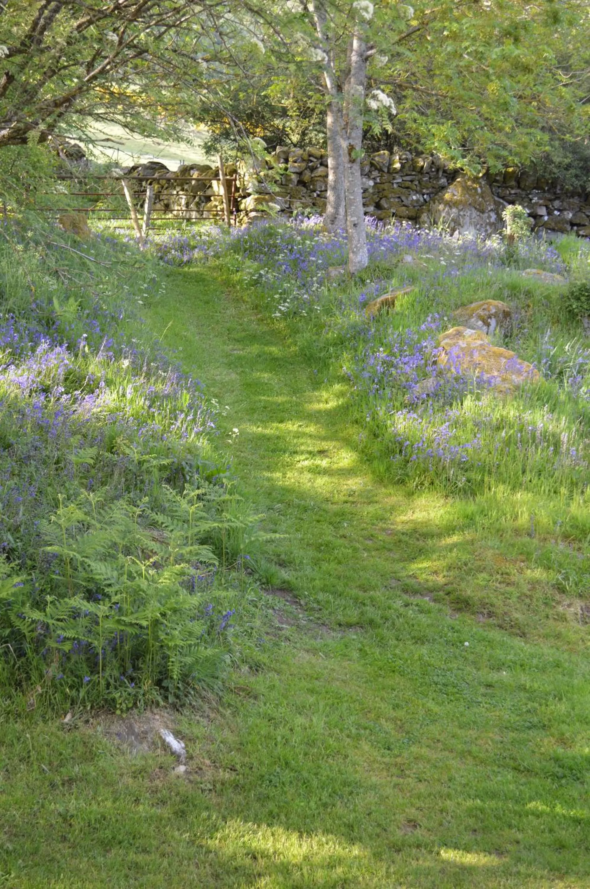 Natural landscape in The Steading