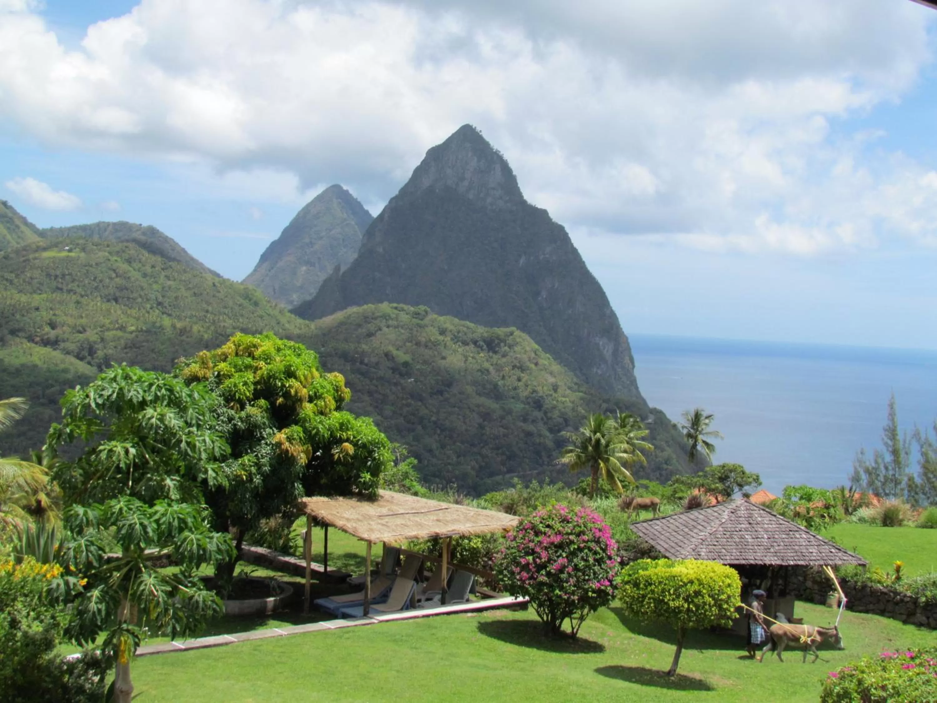 Garden in La Haut Resort