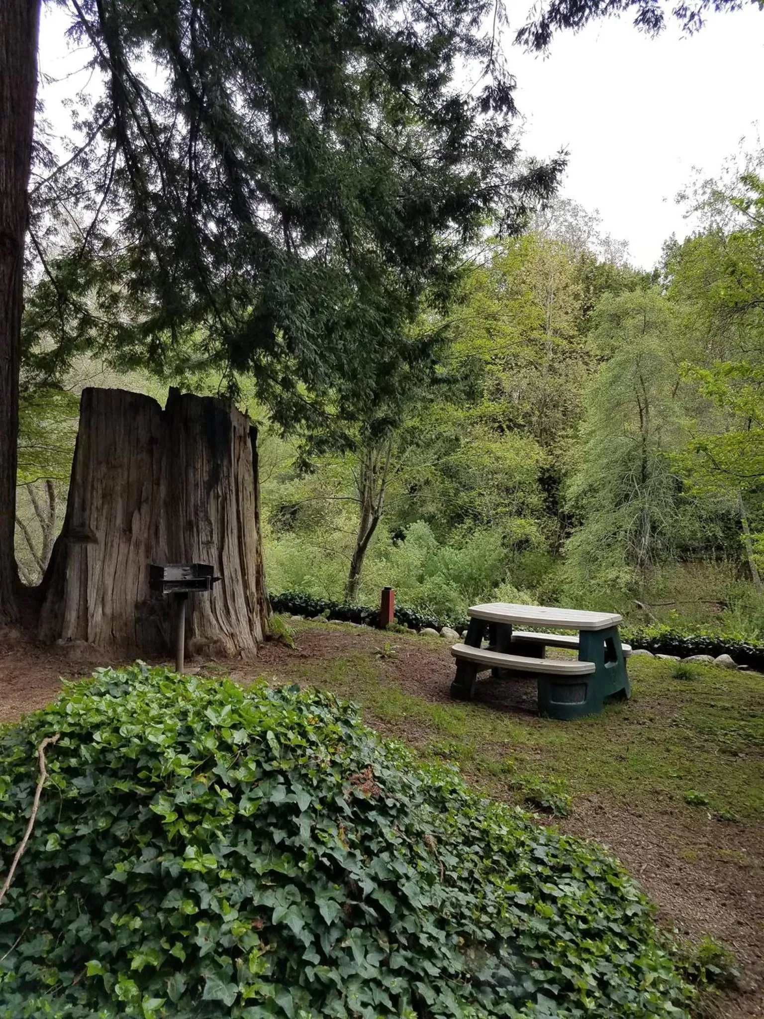 Natural landscape in Fern River Resort