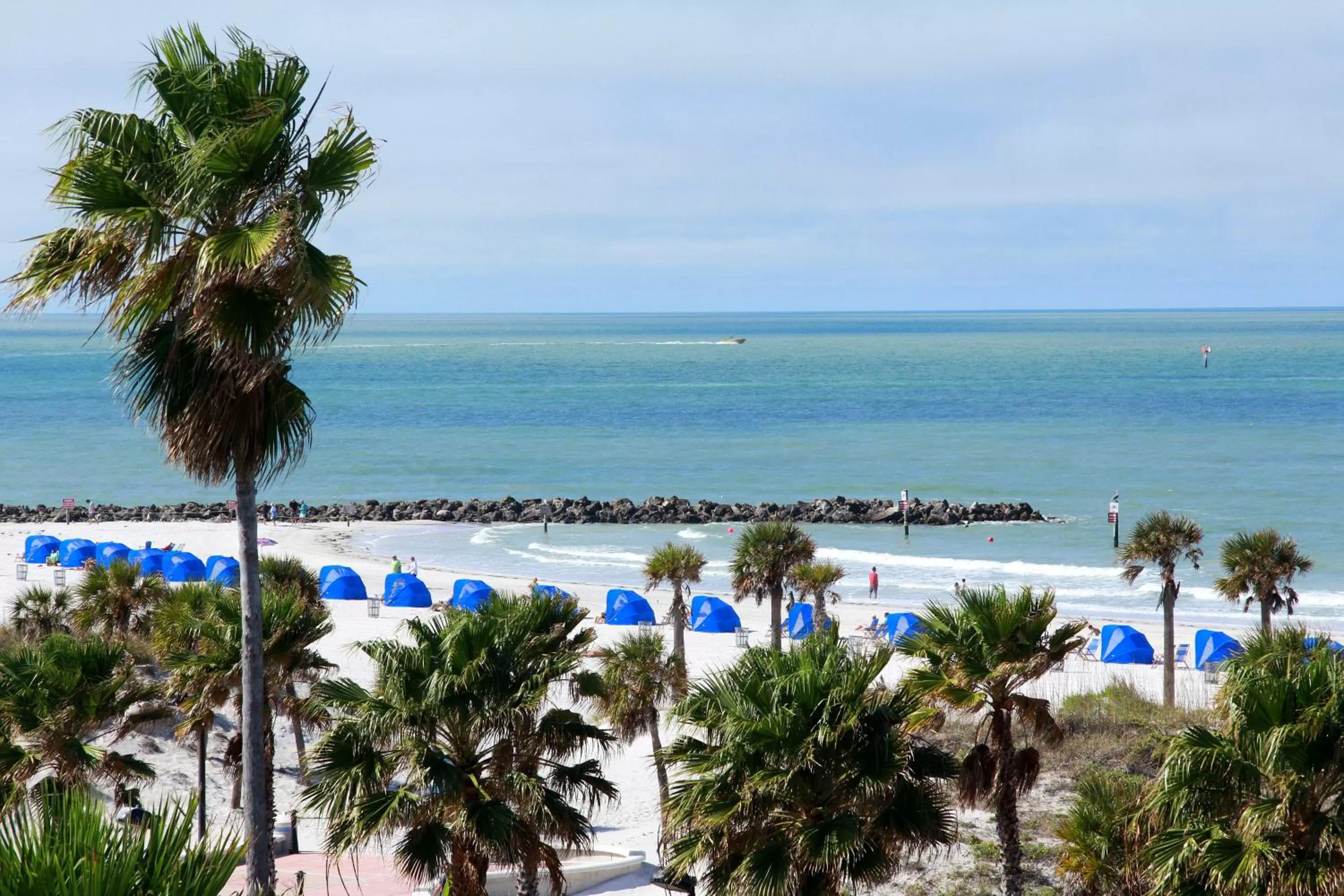 Activities in The Beachview Inn Clearwater Beach